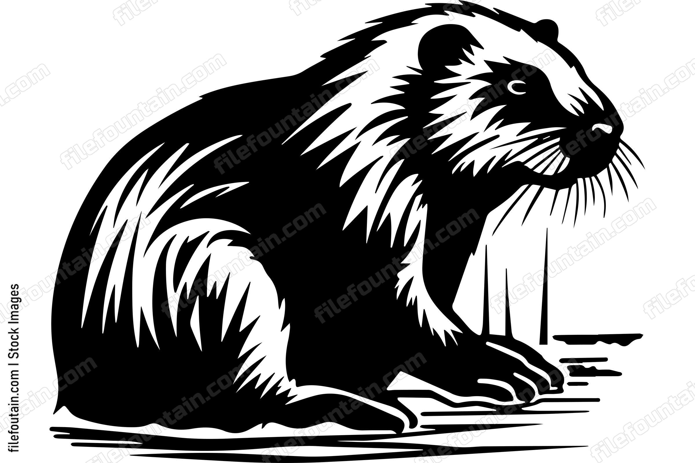 Beaver