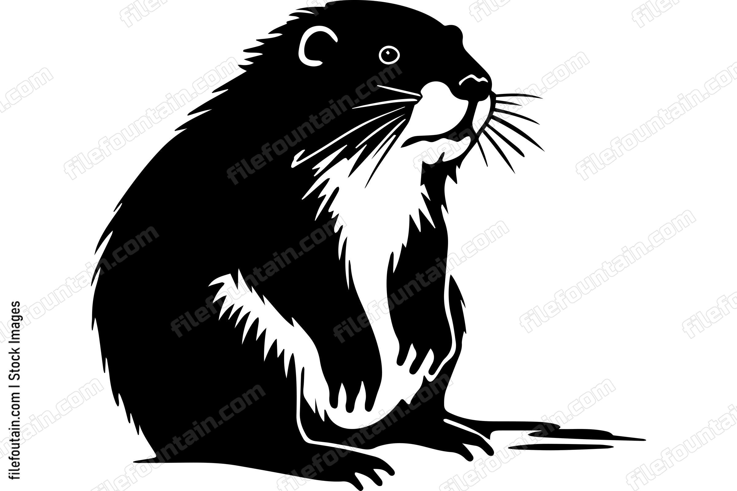 Beaver