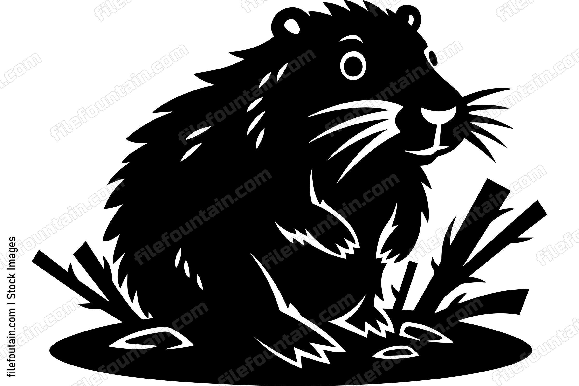 Beaver