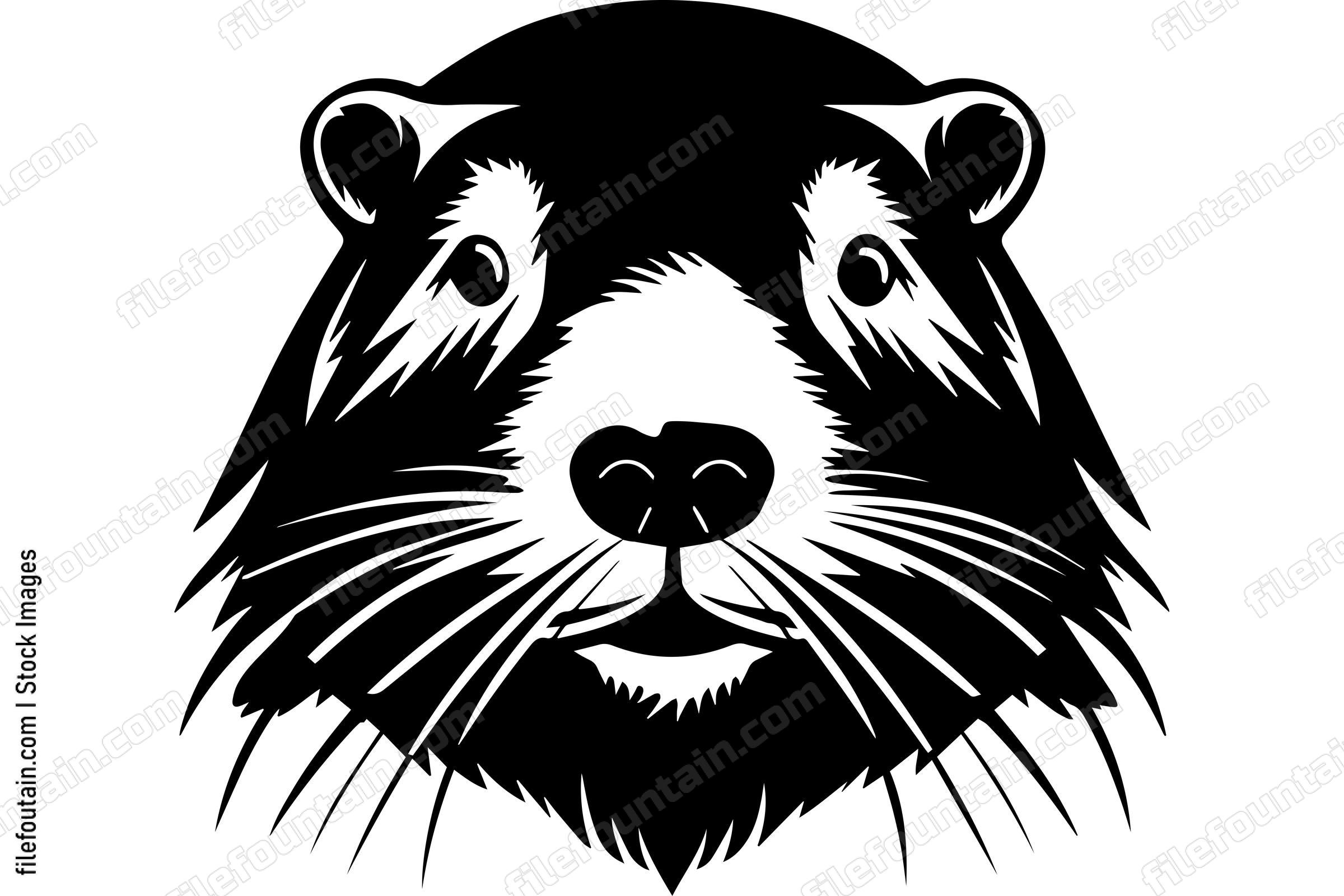 Beaver