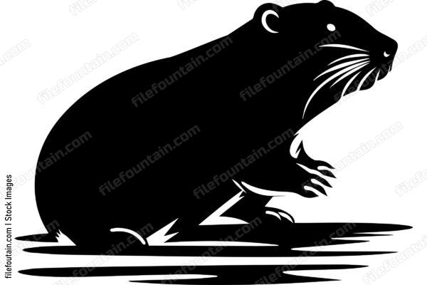 Beaver