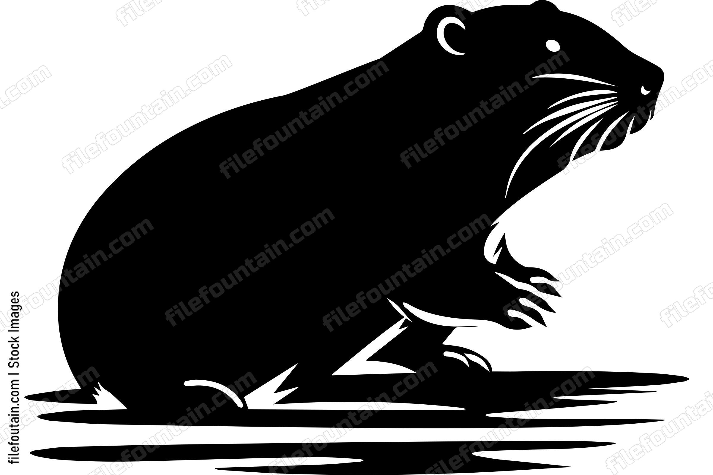 Beaver