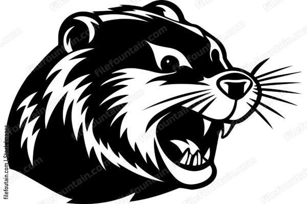 Beaver