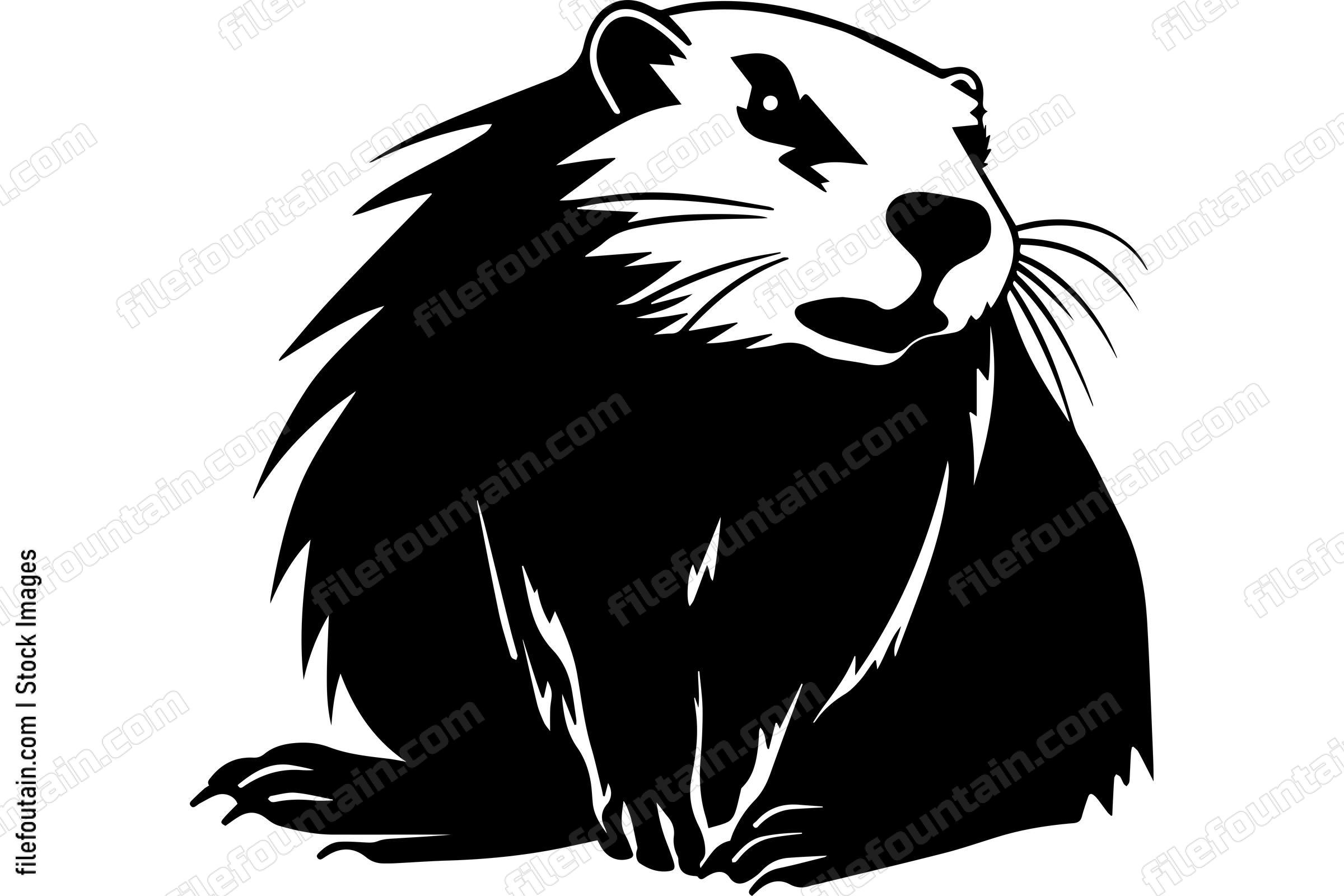 Beaver