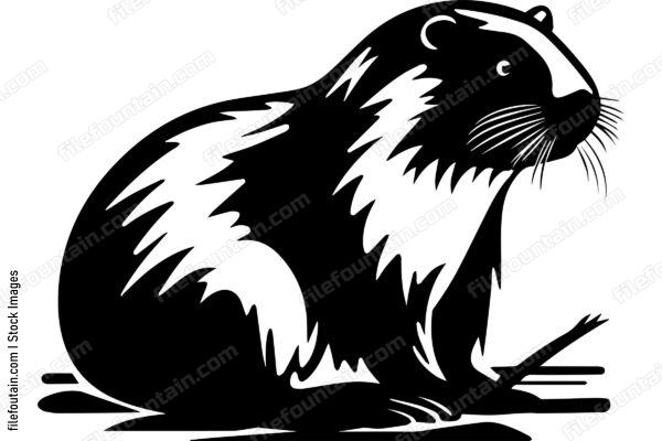 Beaver
