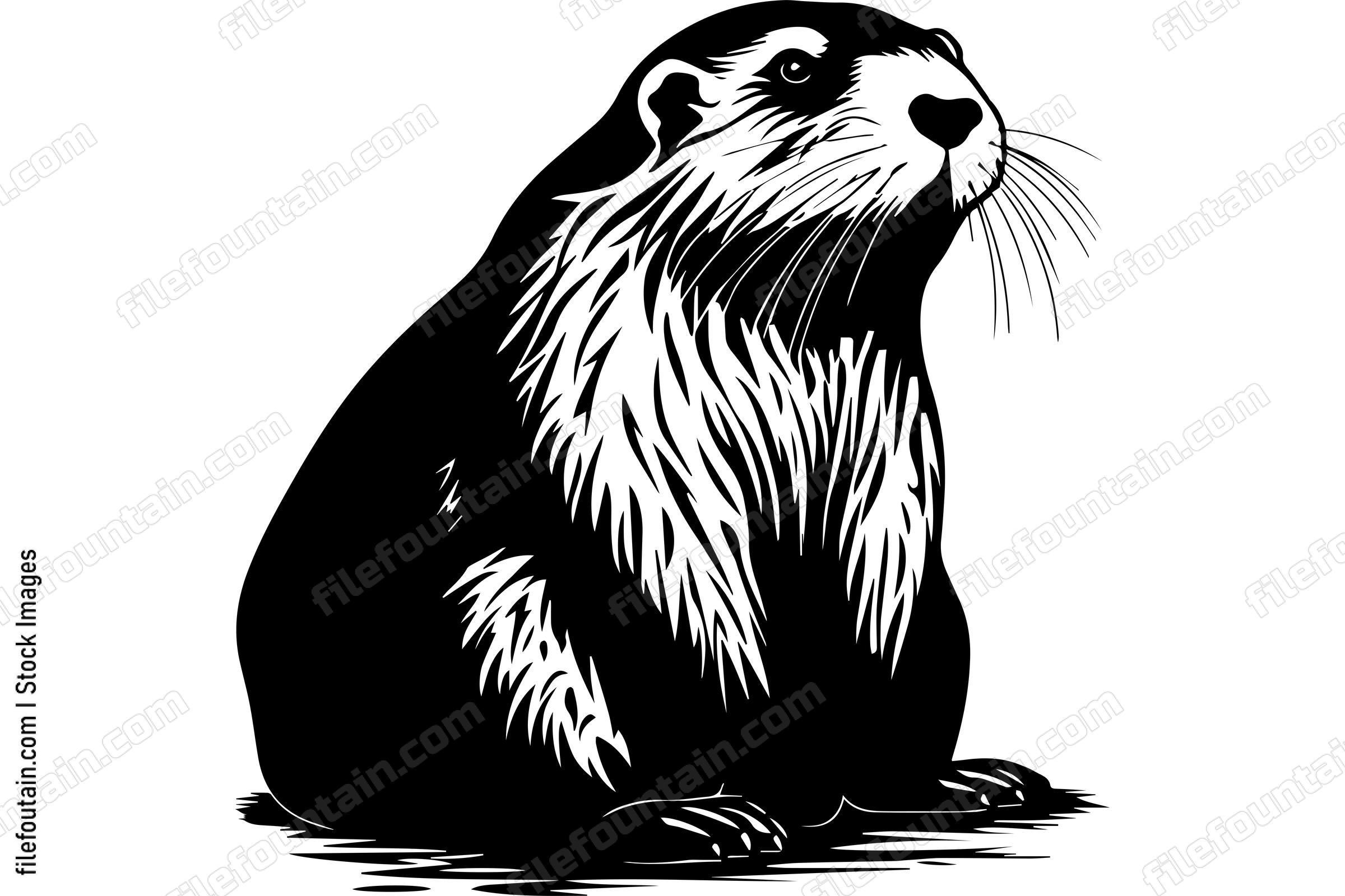 Beaver