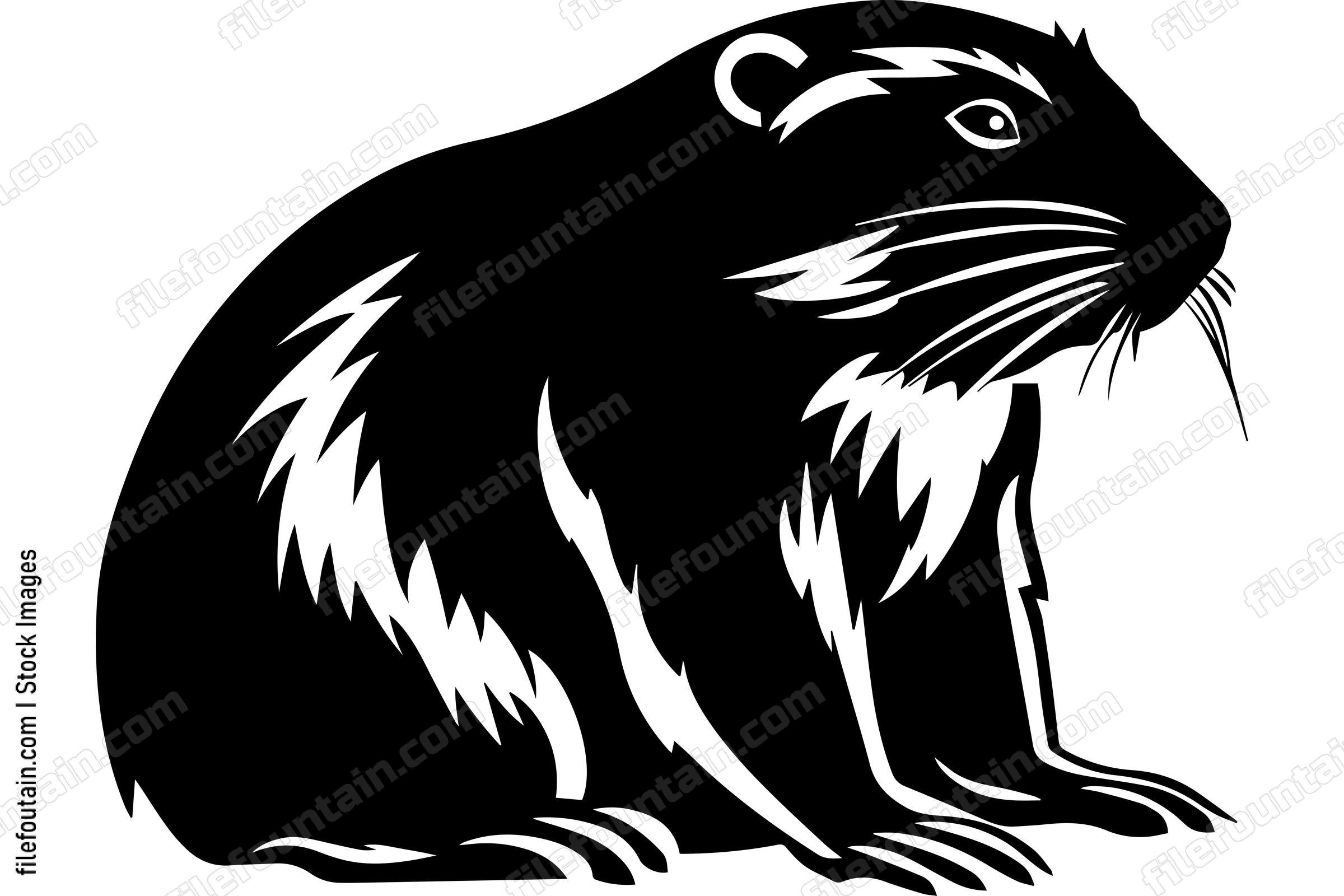 Beaver