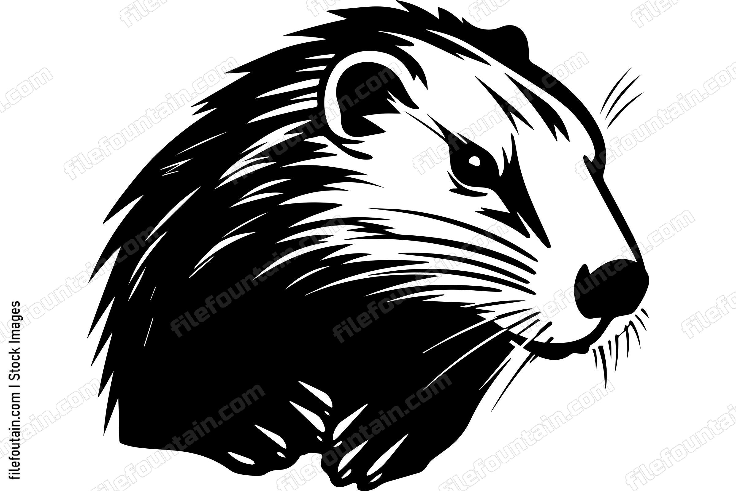 Beaver