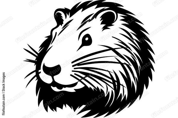 Beaver