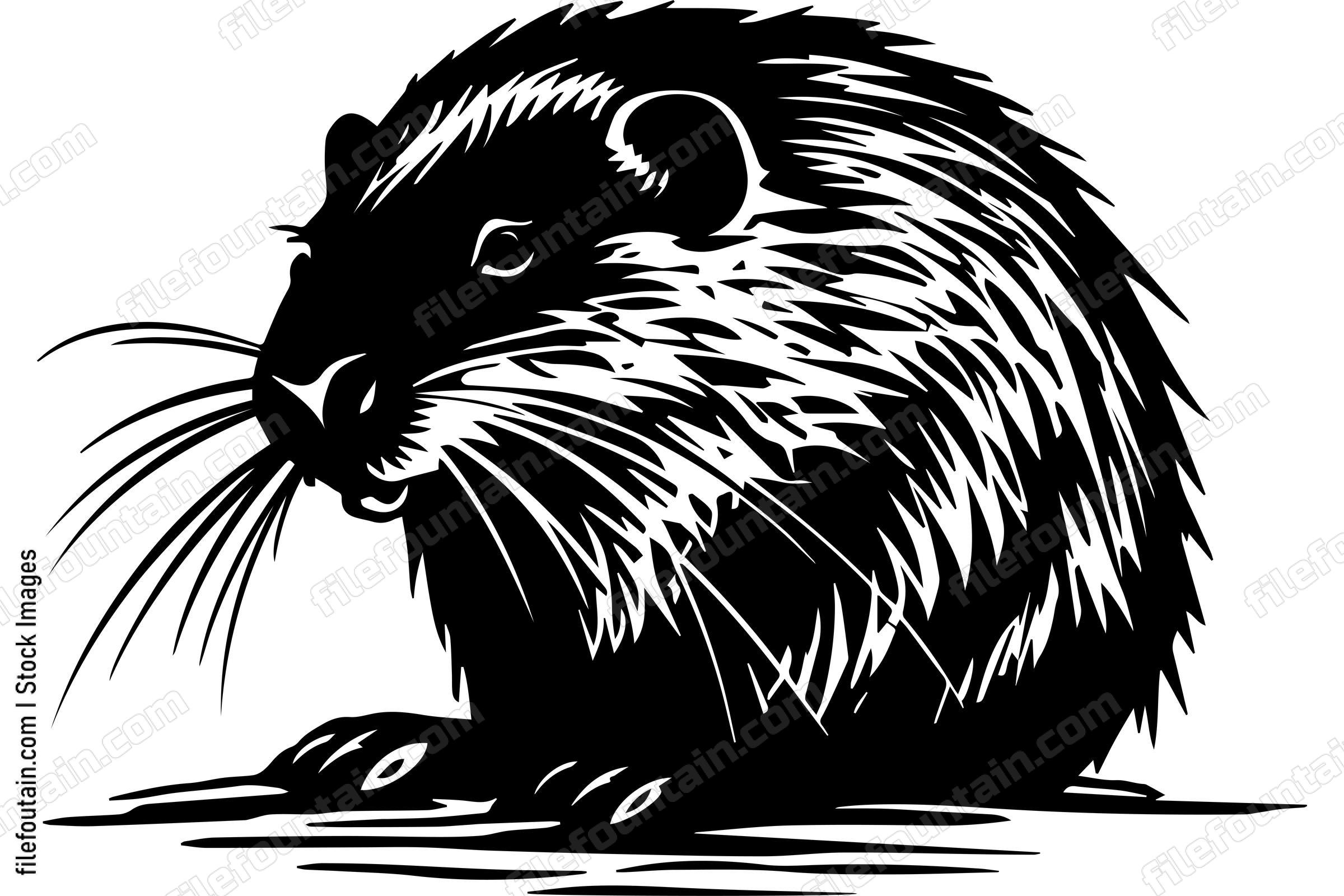Beaver