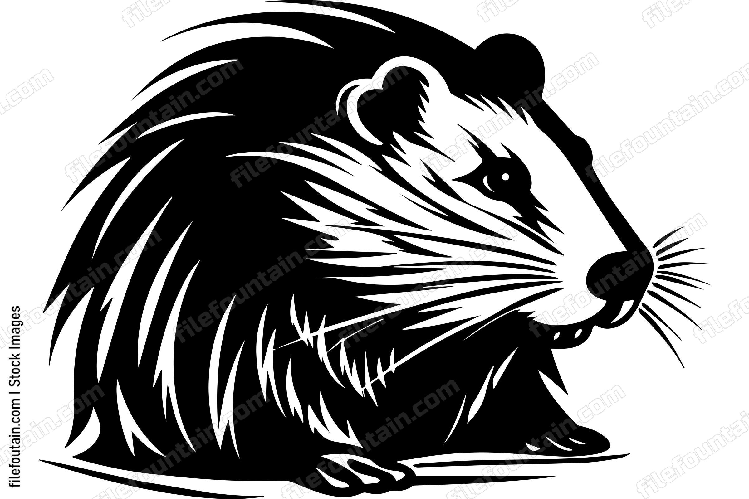 Beaver