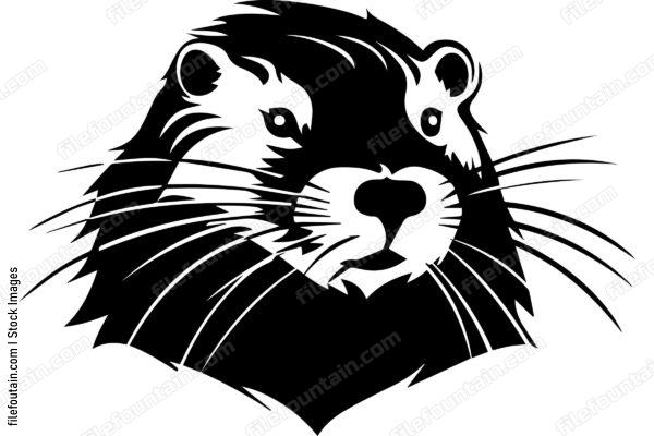 Beaver