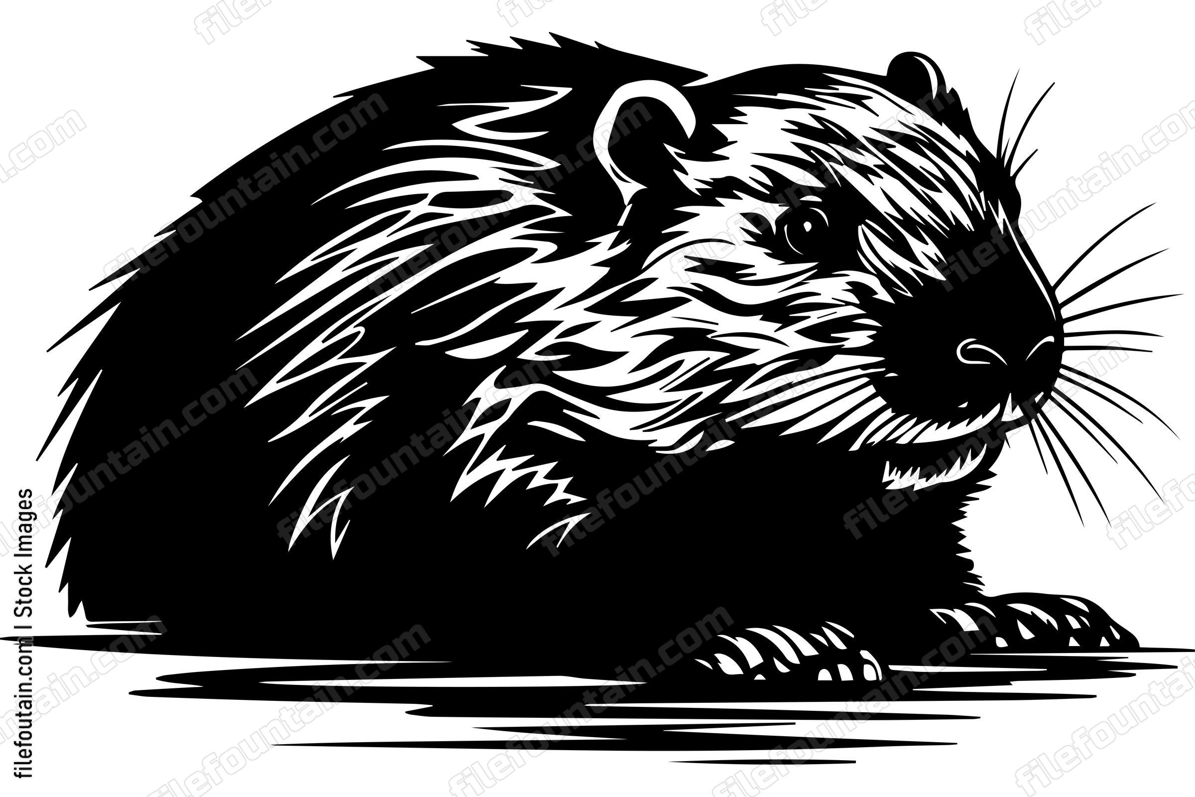 Beaver