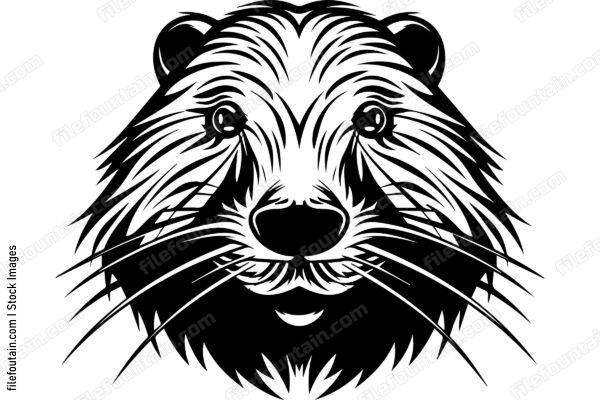 Beaver