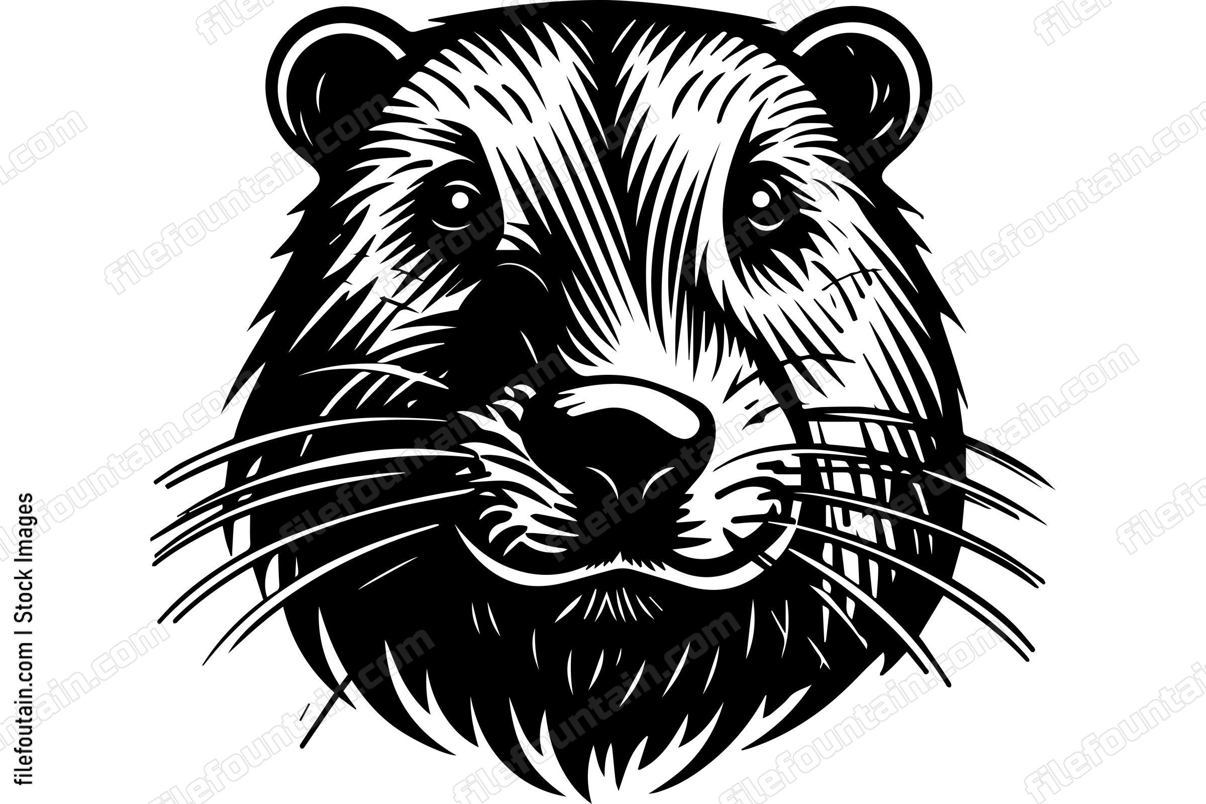Beaver