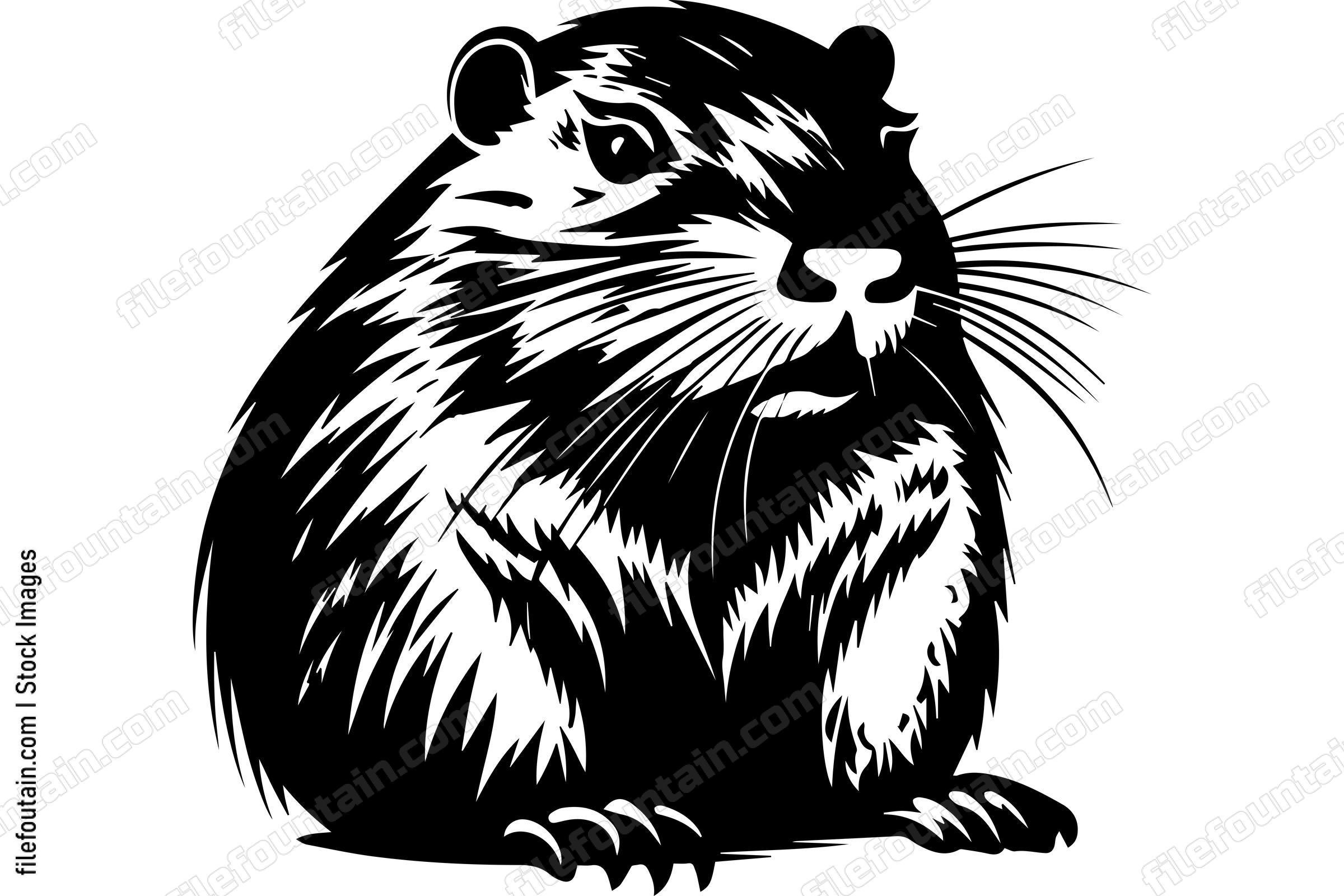 Beaver