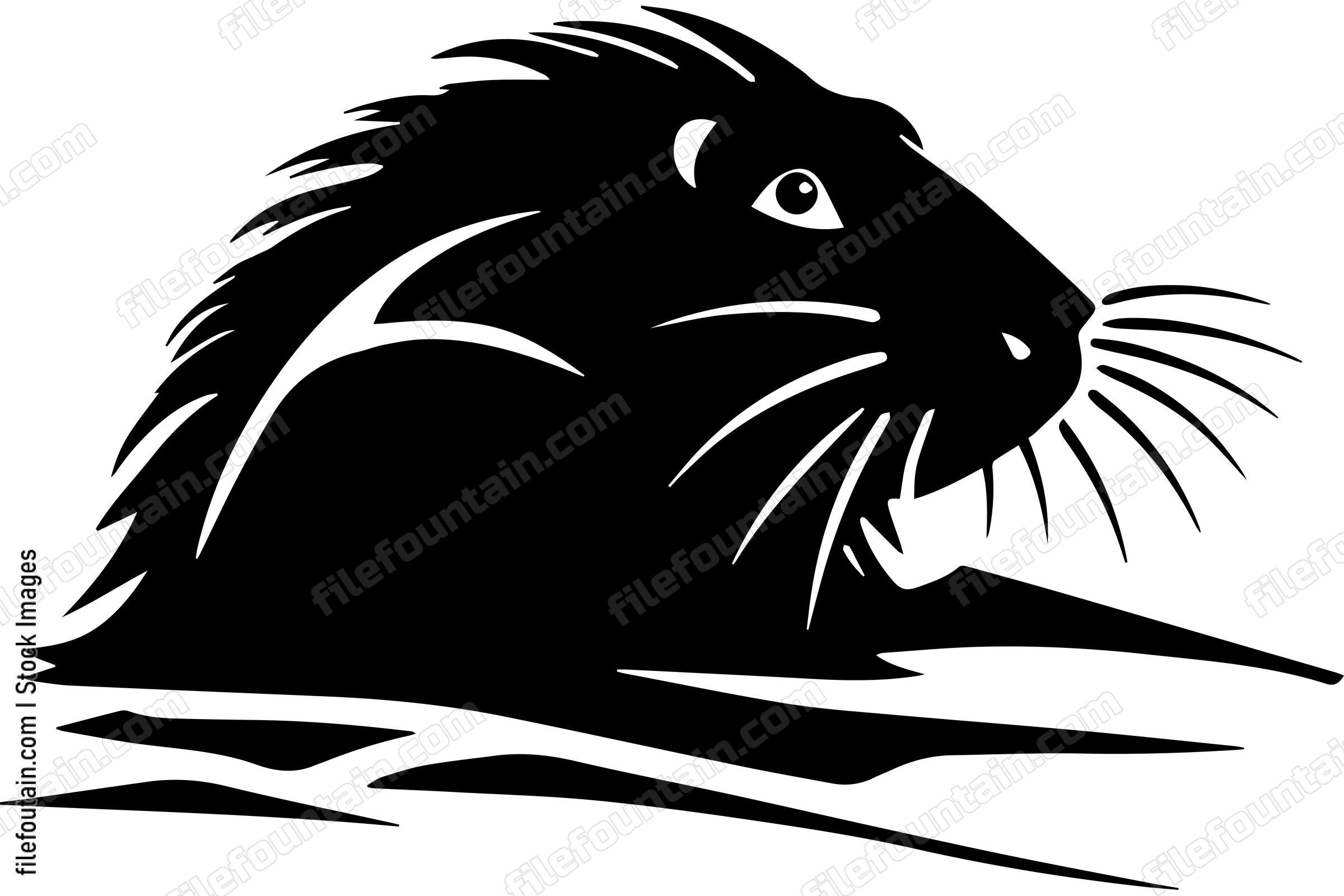 Beaver