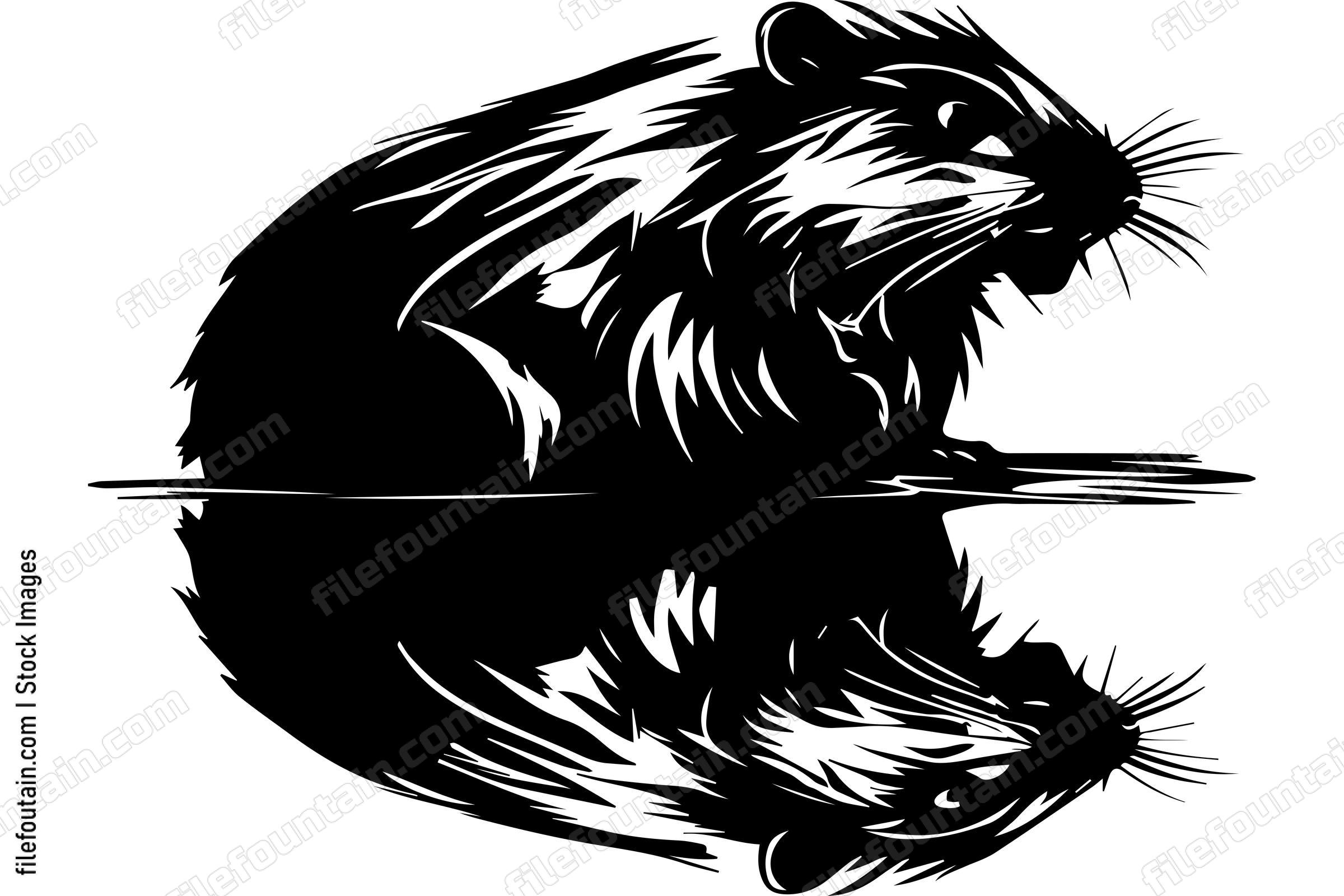 Beaver