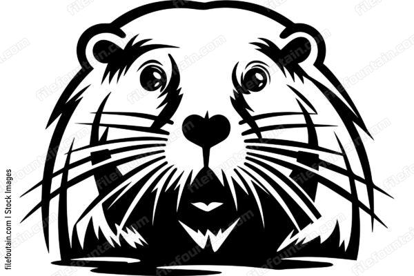 Beaver