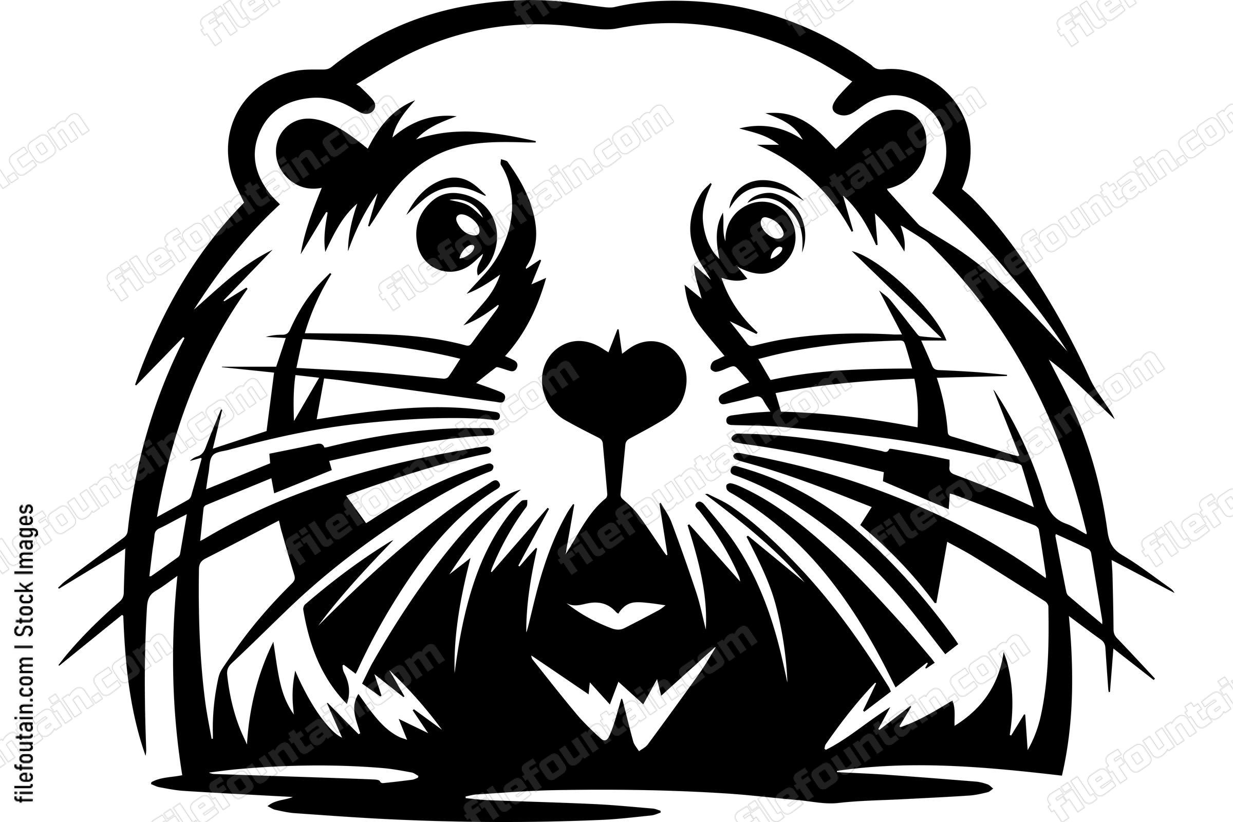 Beaver