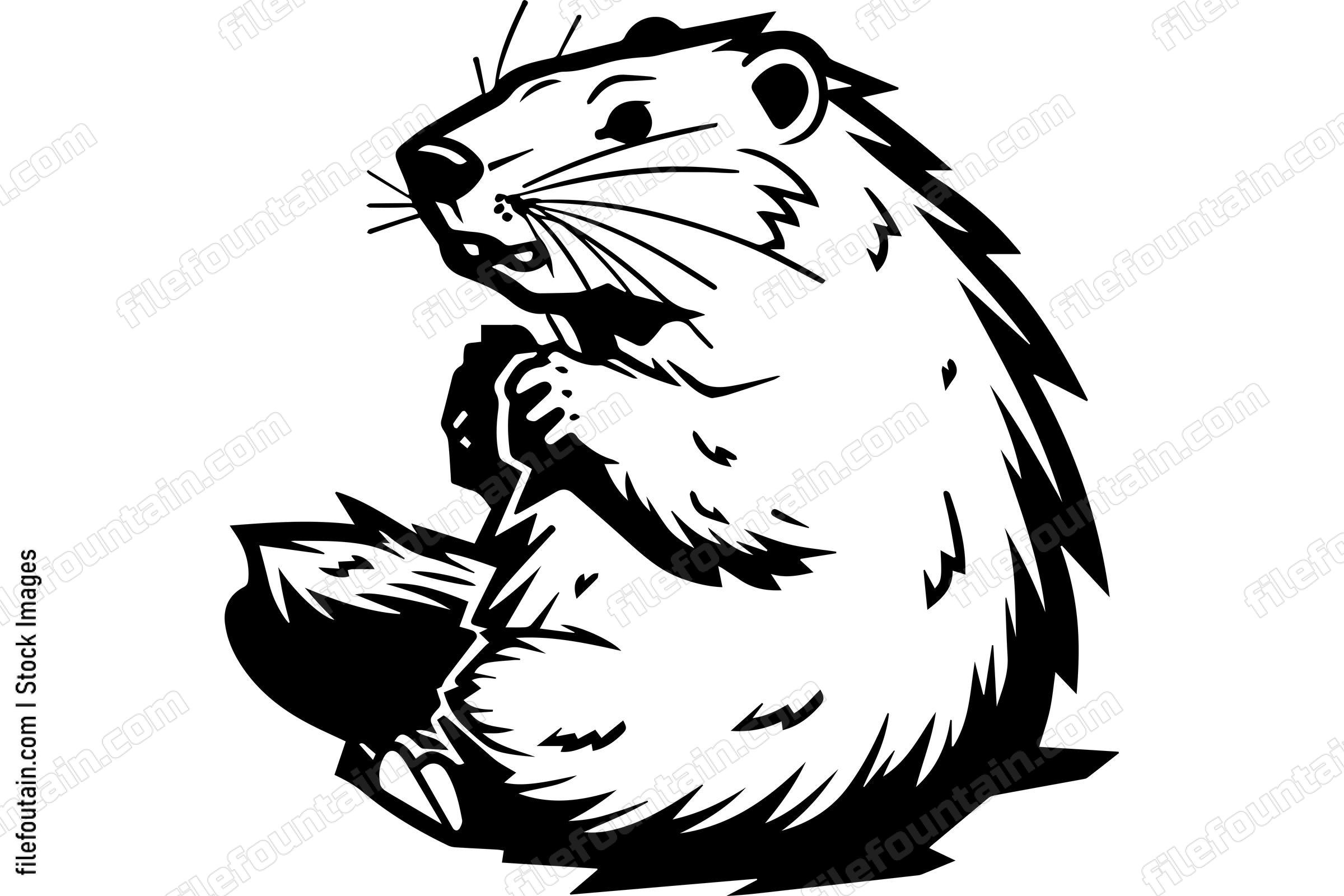 Beaver