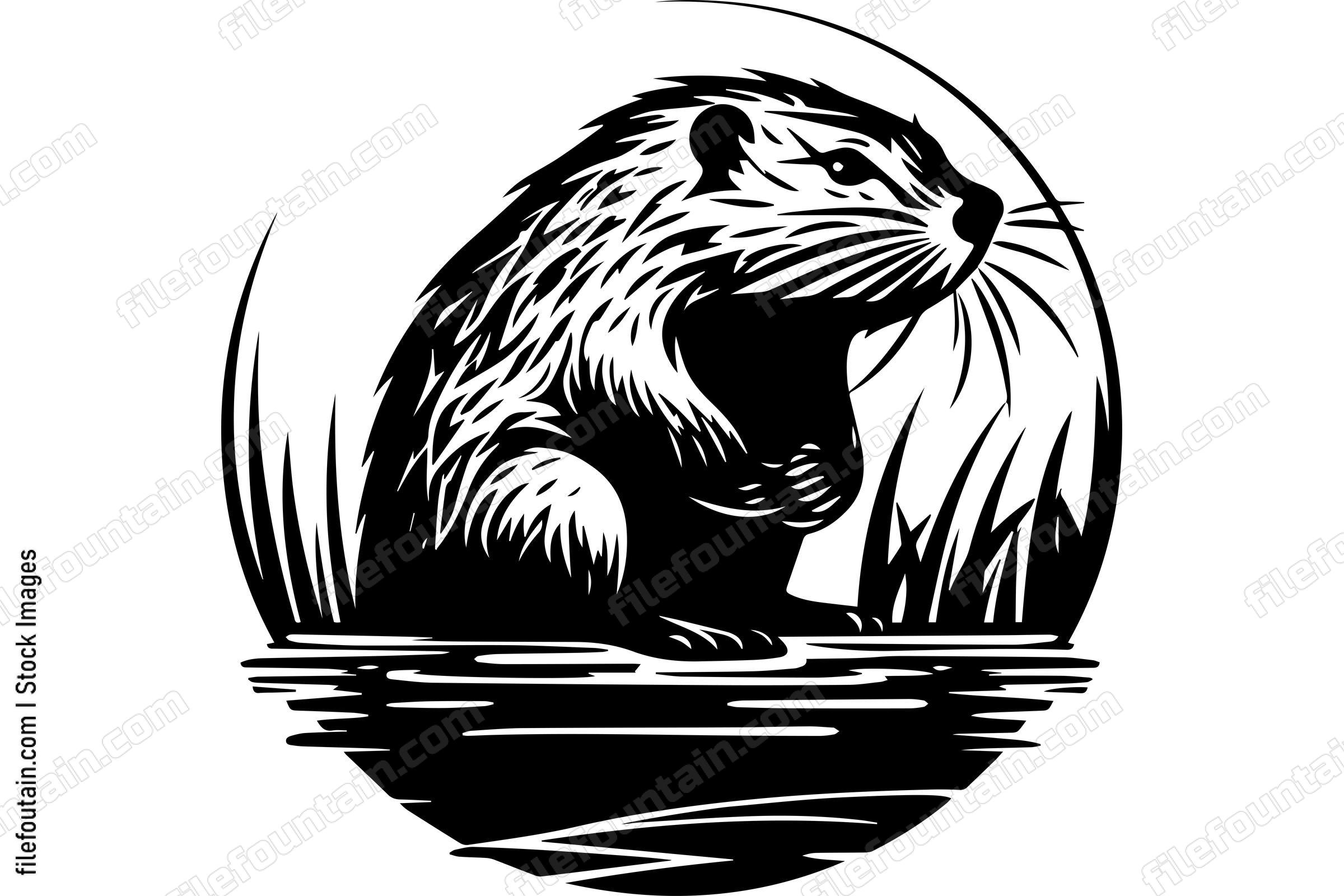 Beaver
