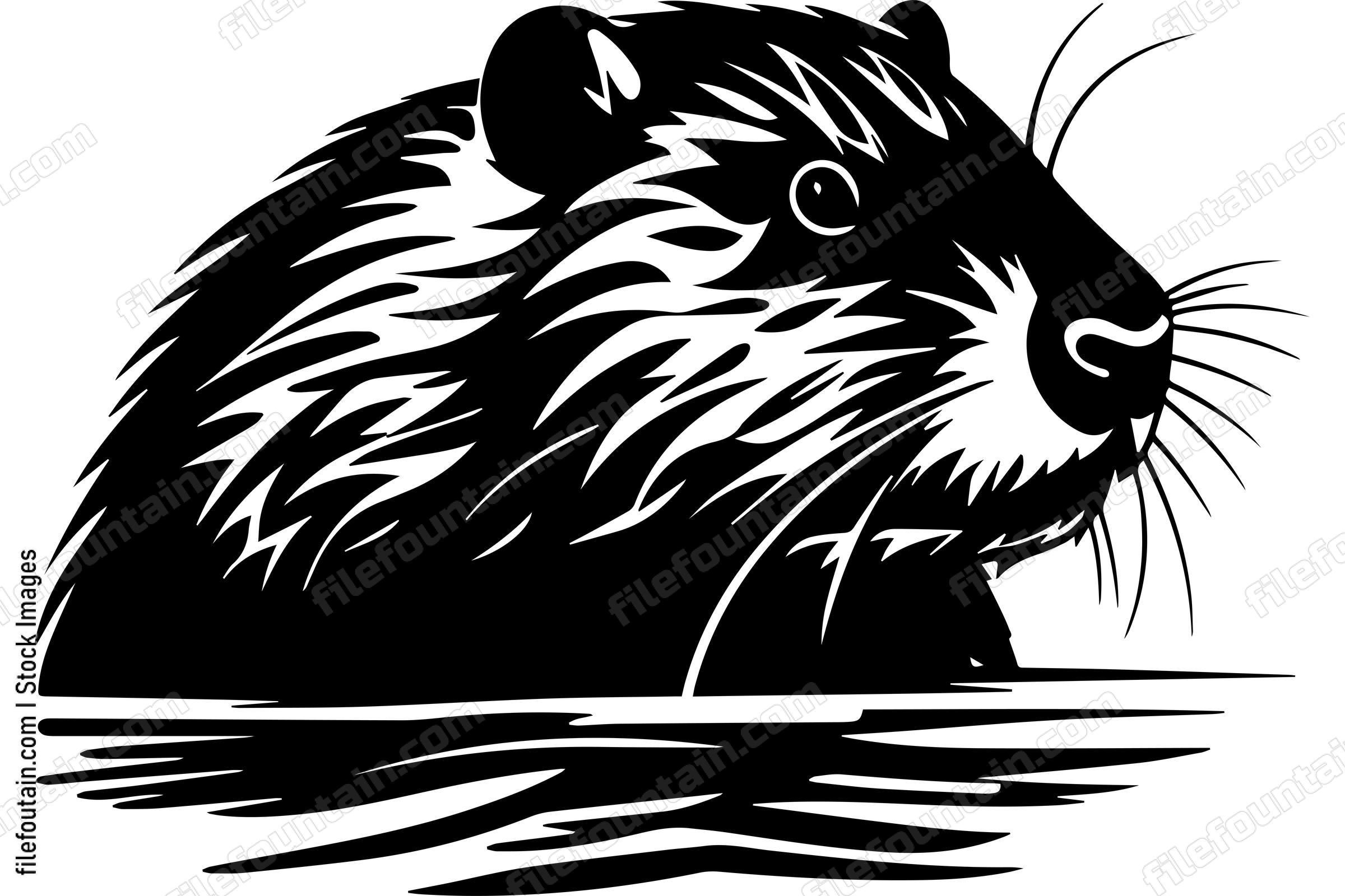Beaver
