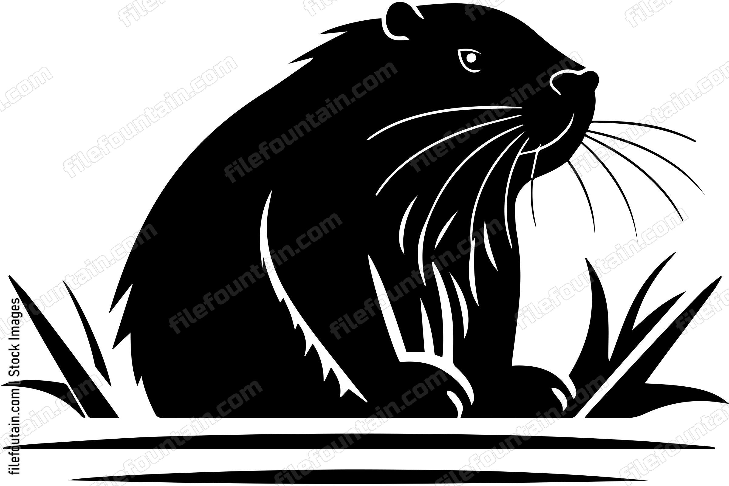 Beaver