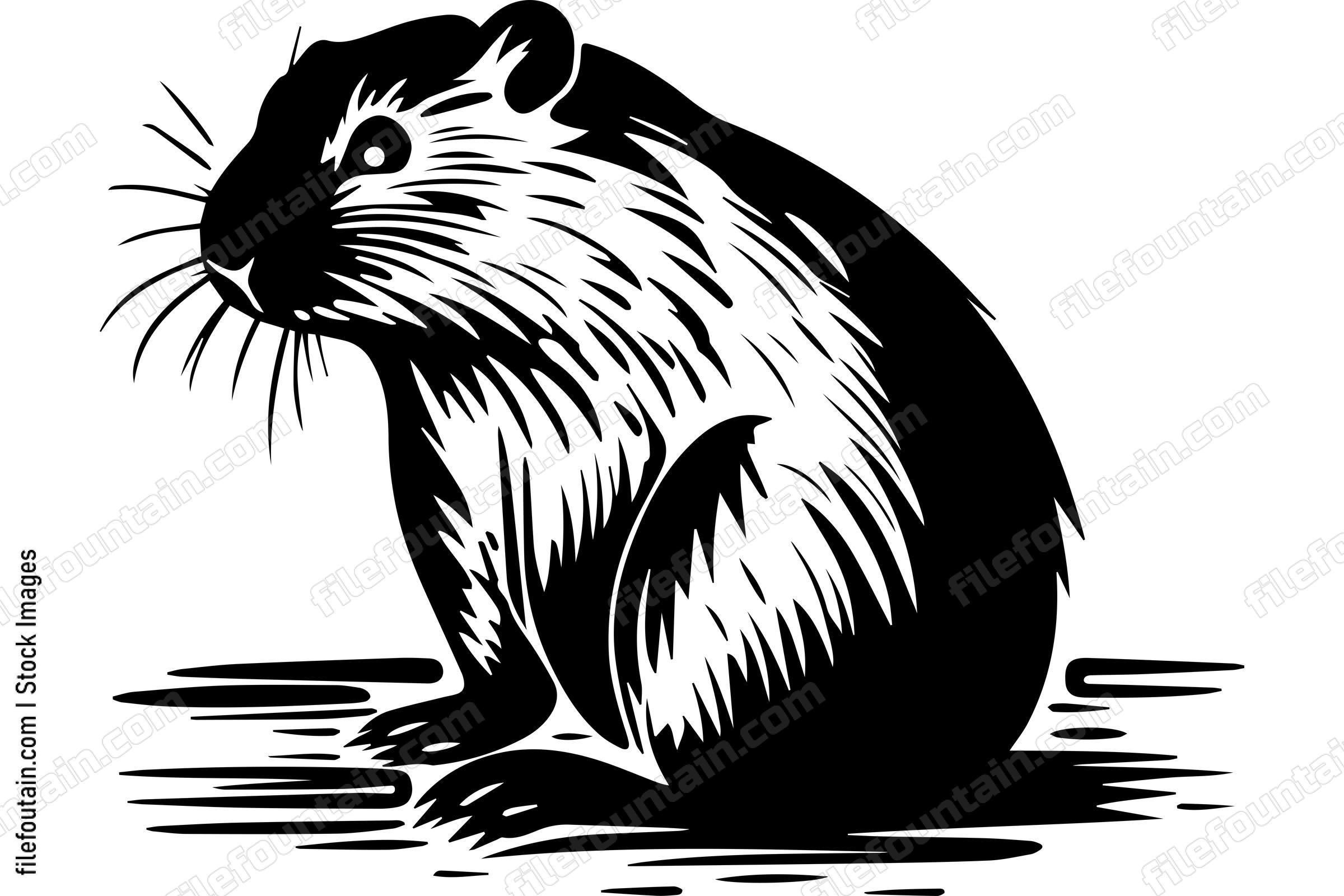 Beaver