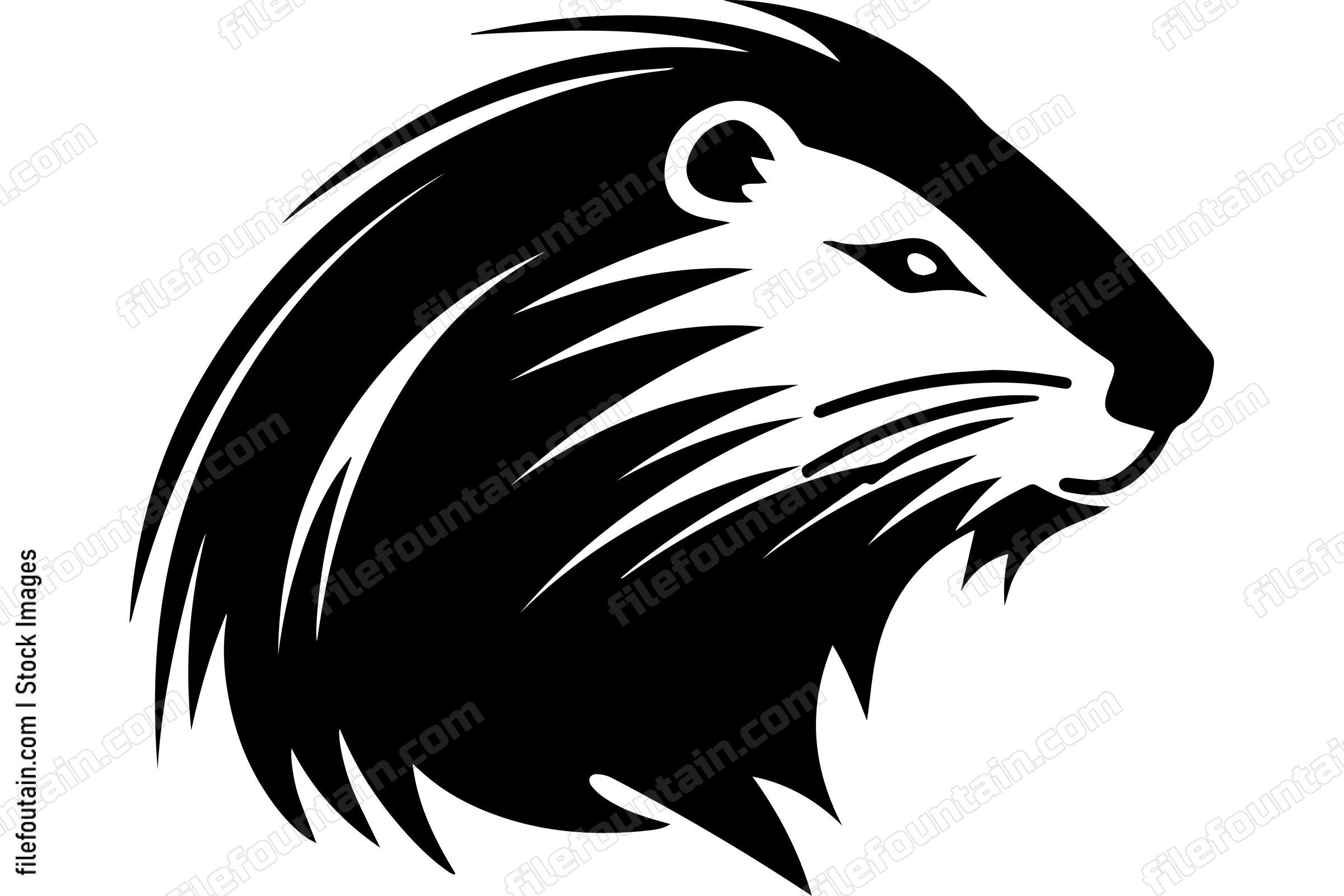 Beaver