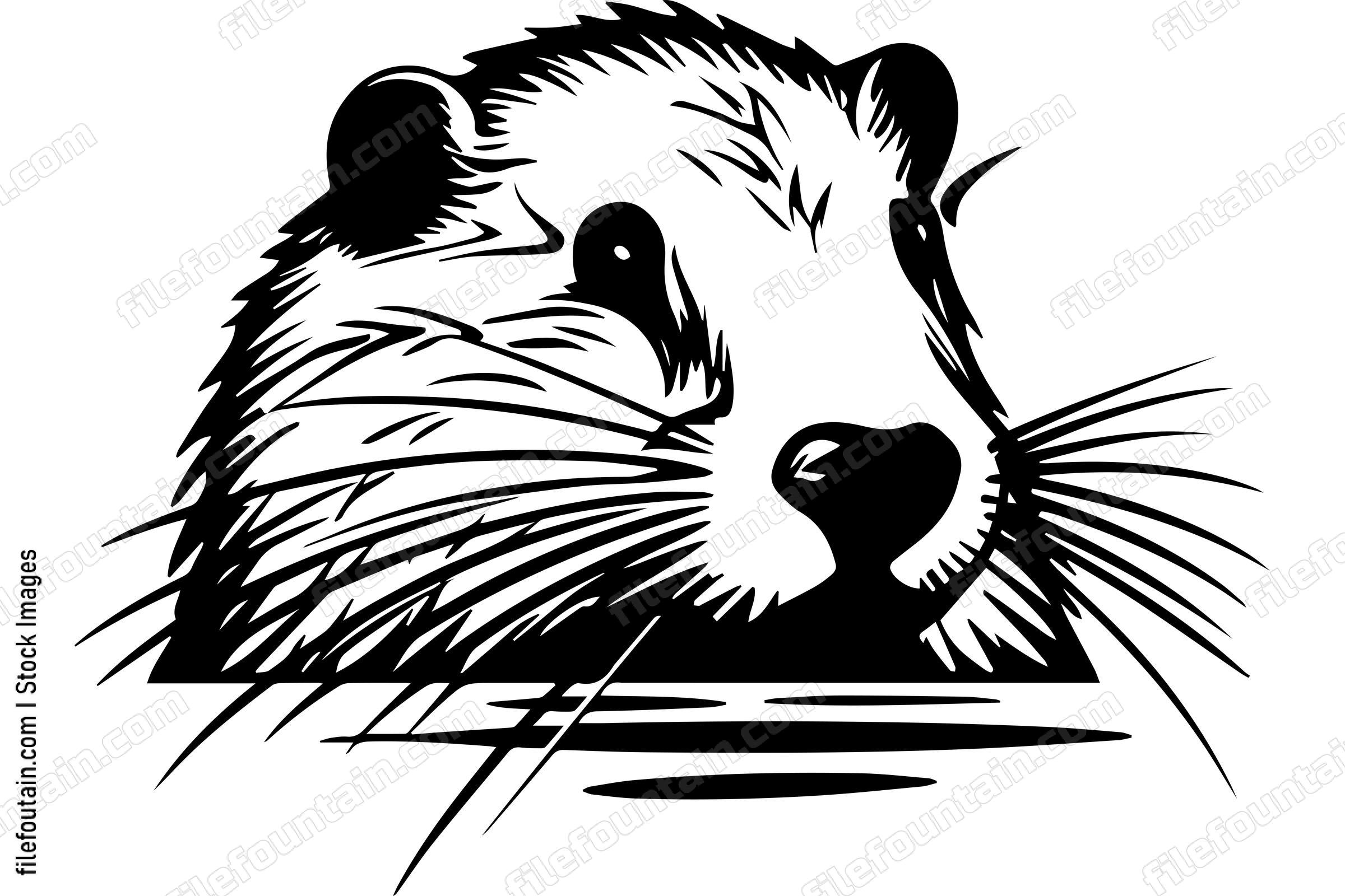 Beaver