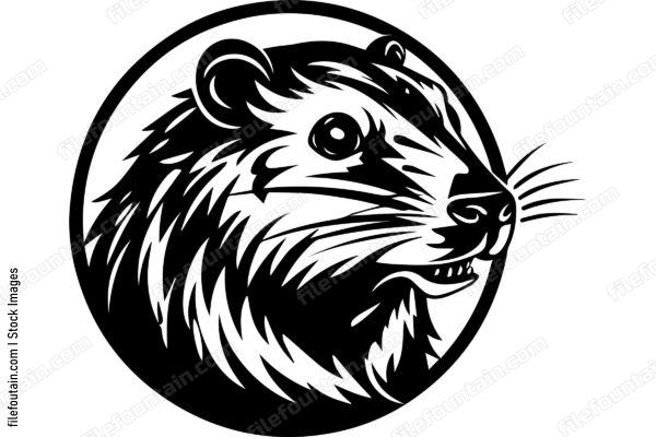 Beaver