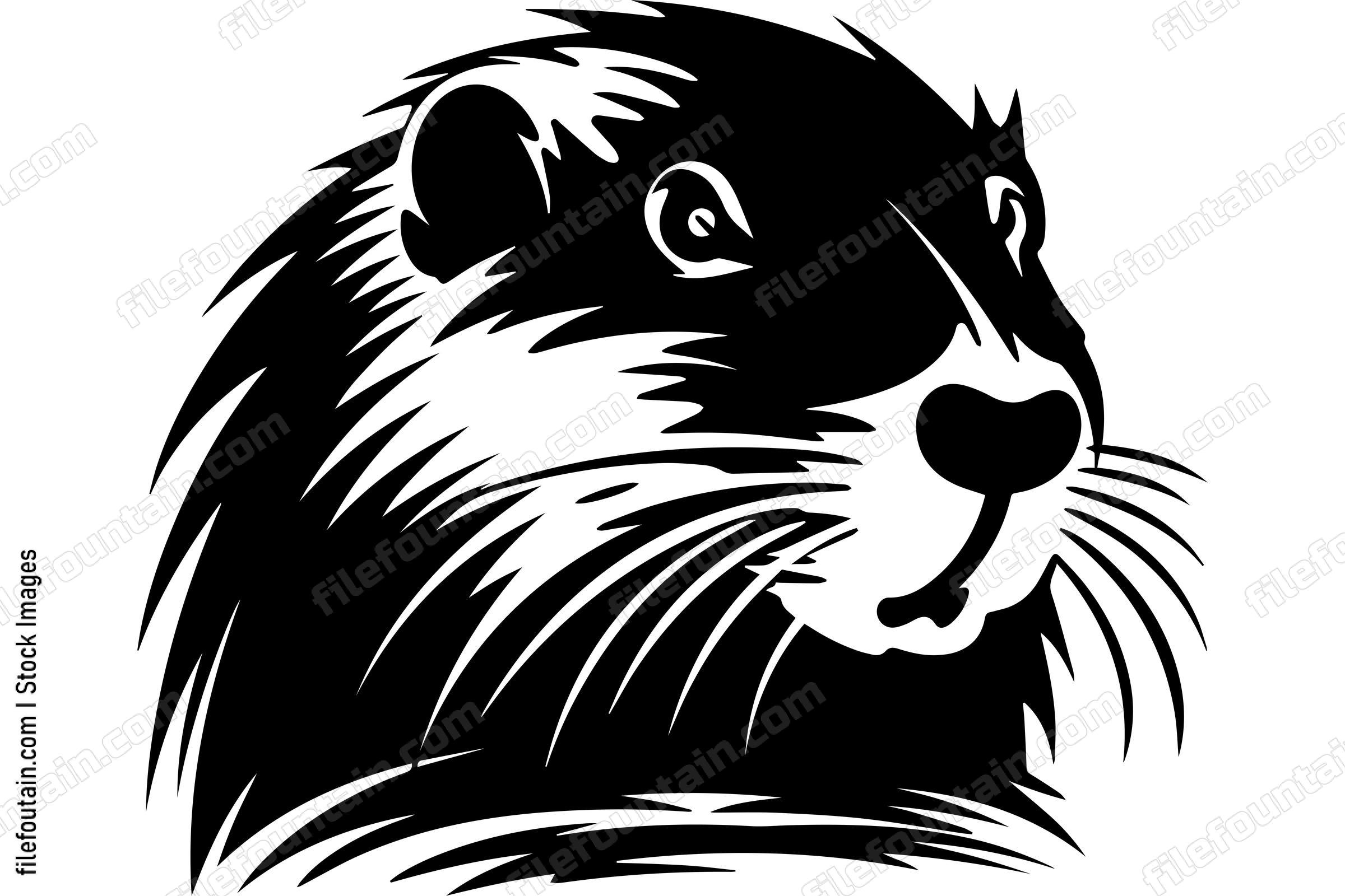 Beaver