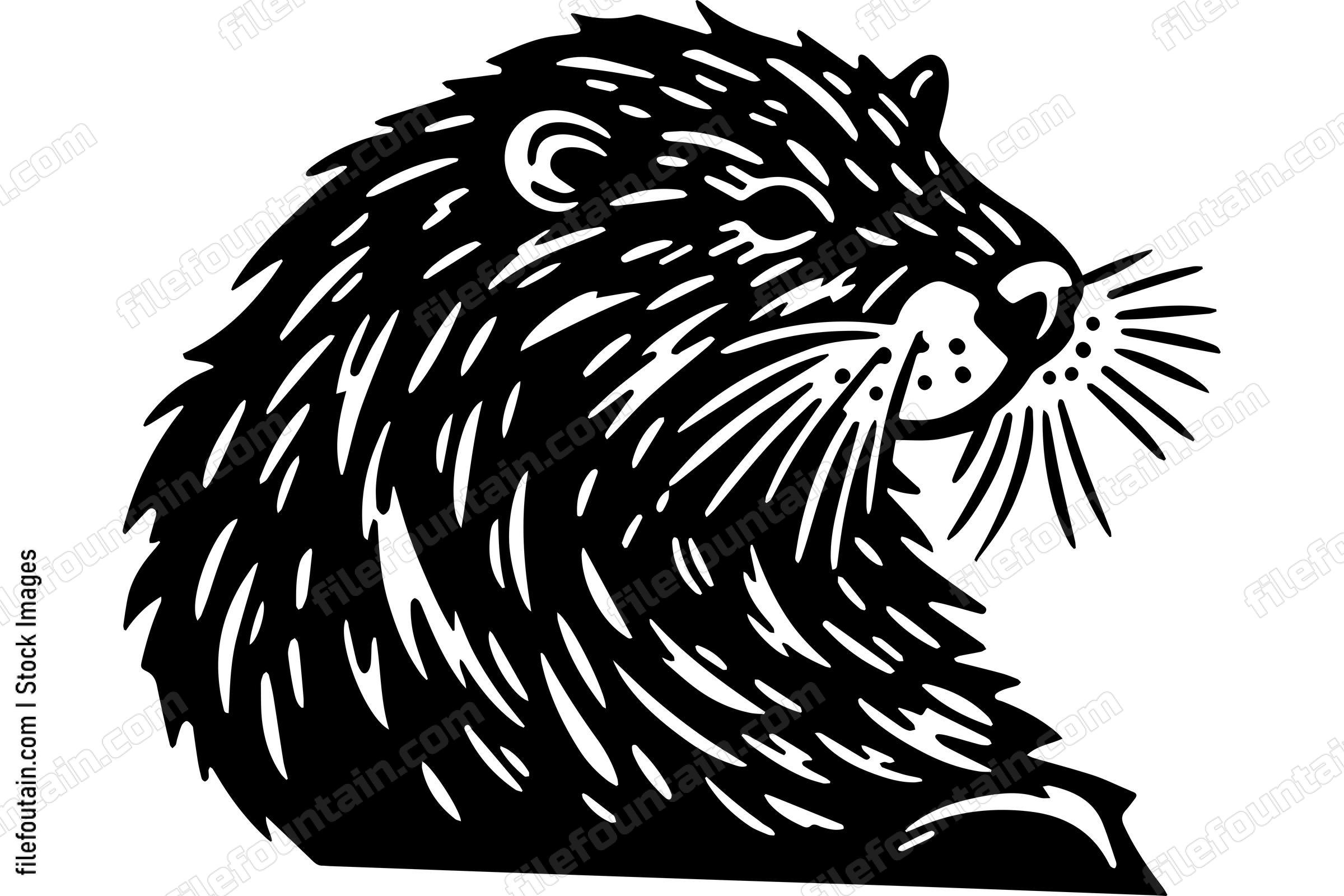 Beaver