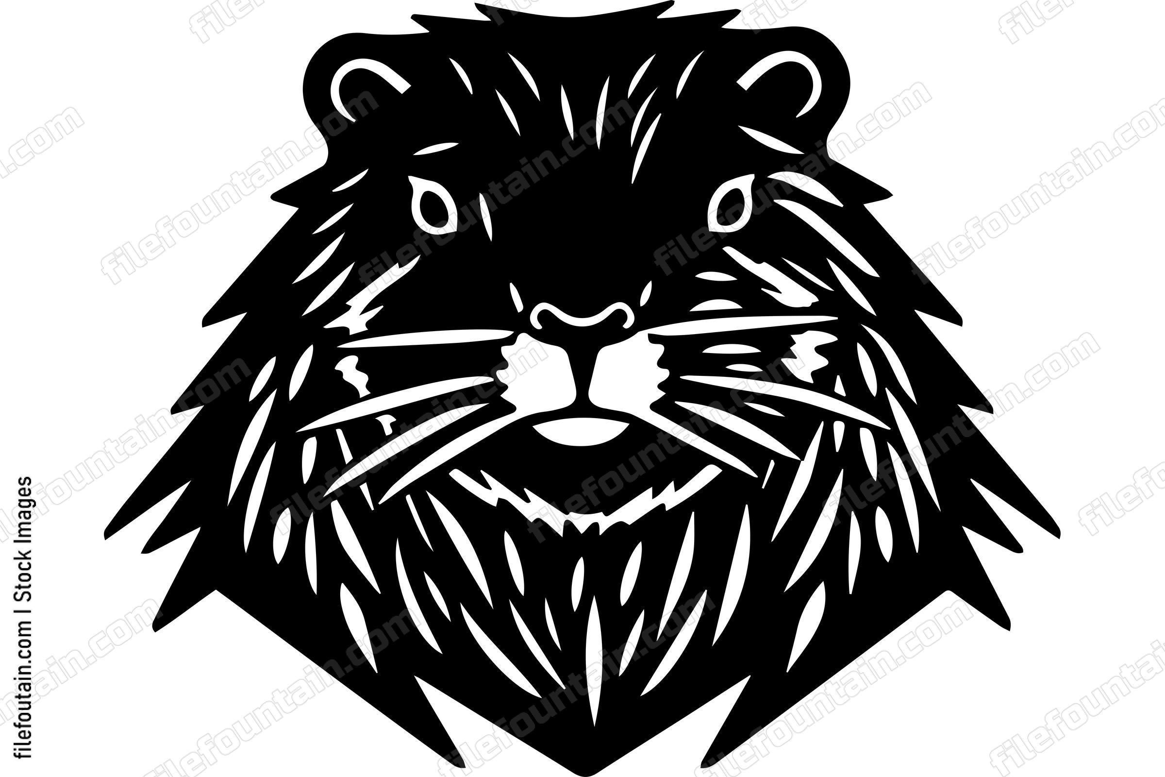 Beaver