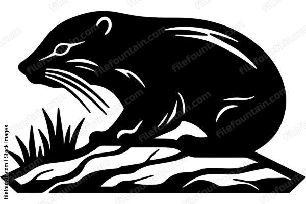 Beaver