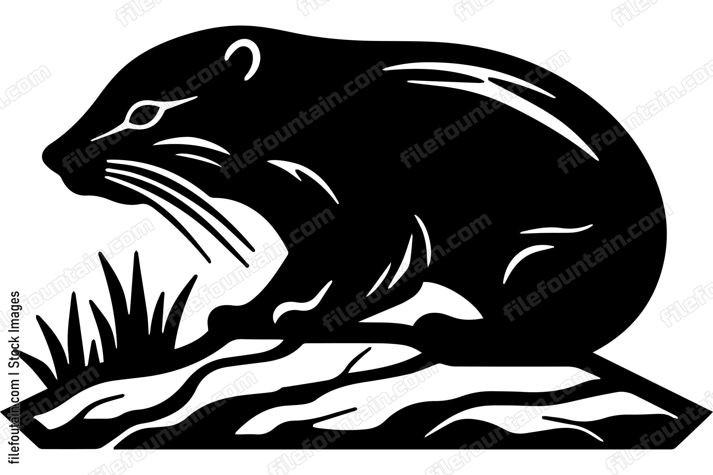 Beaver
