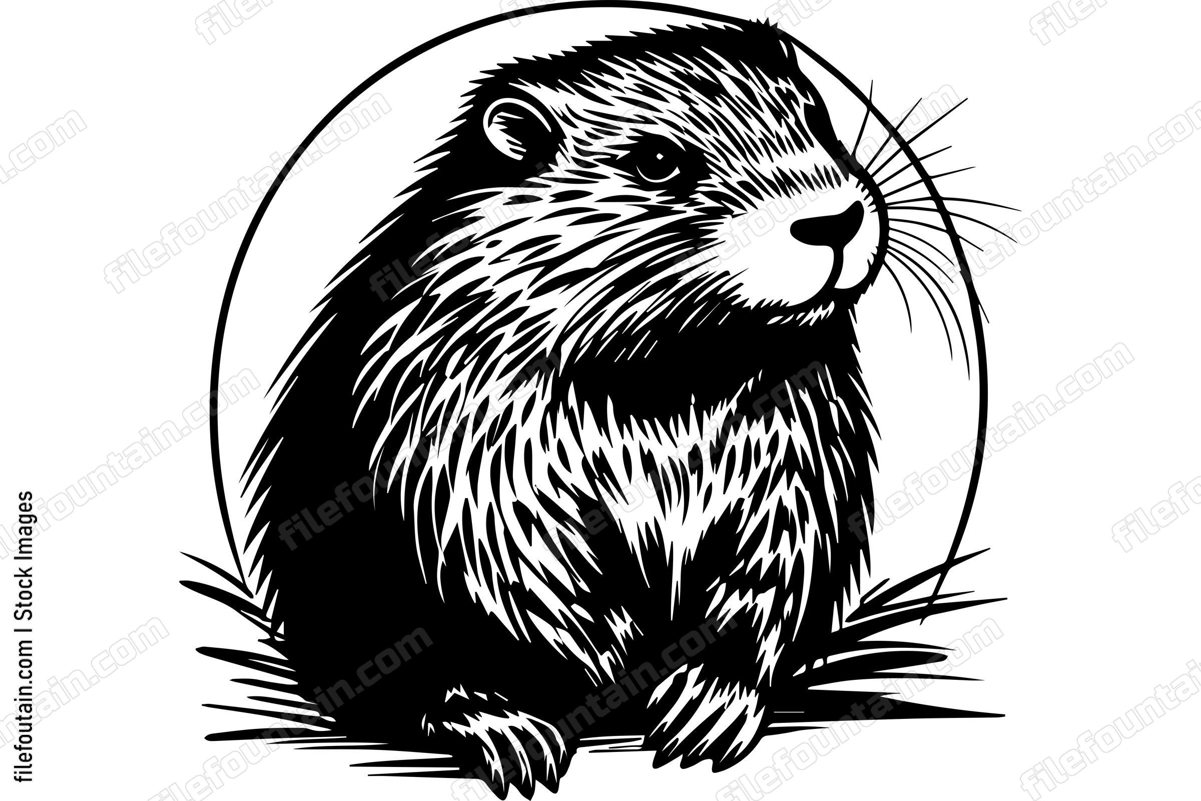 Beaver