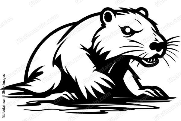 Beaver