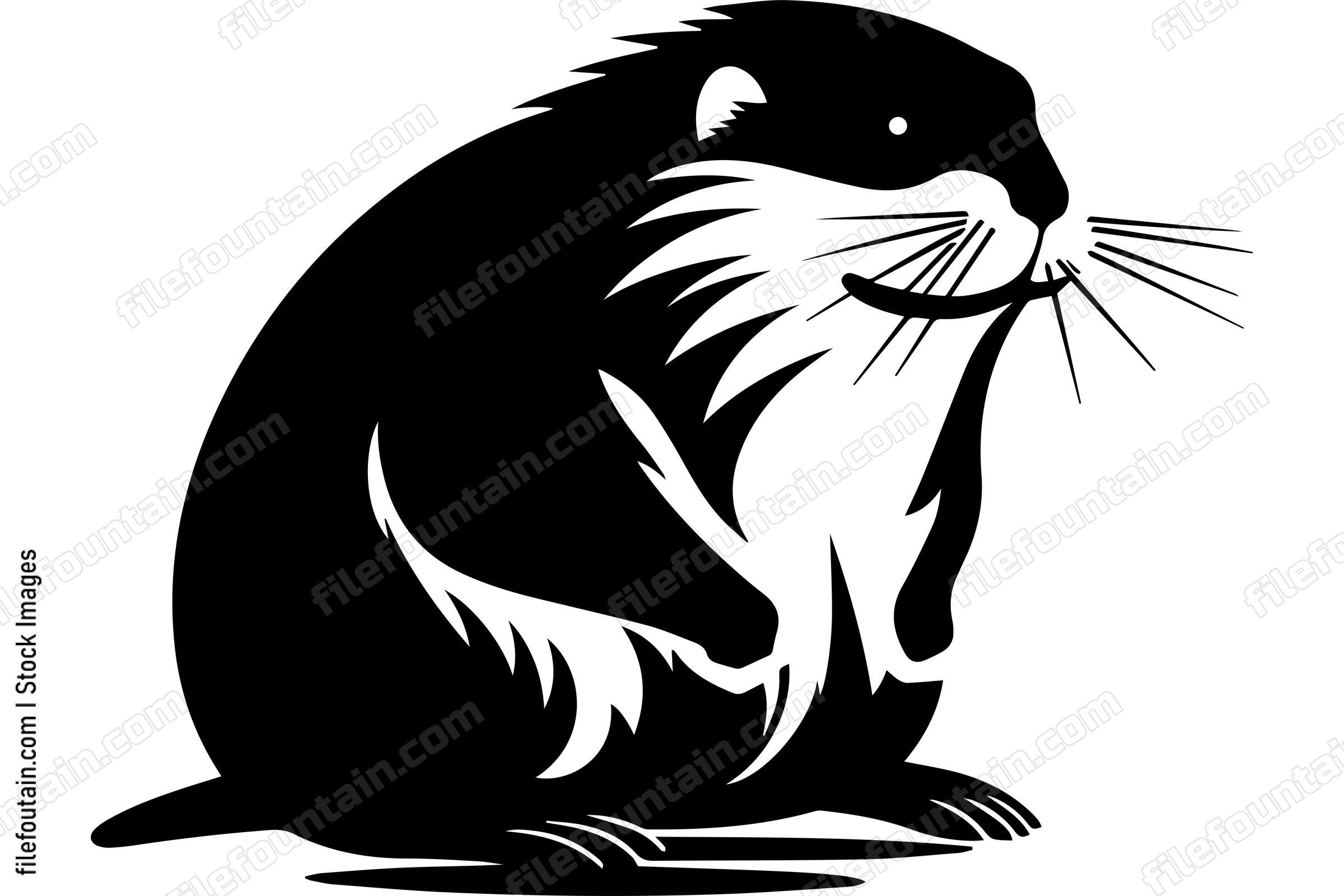 Beaver