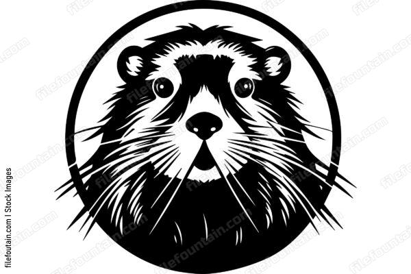 Beaver