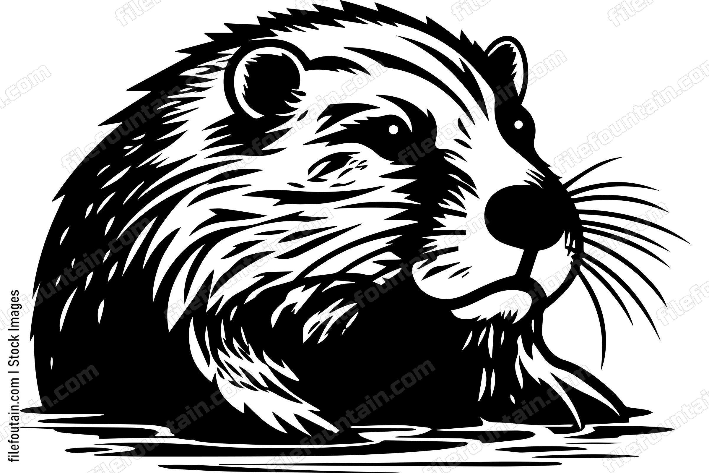 Beaver