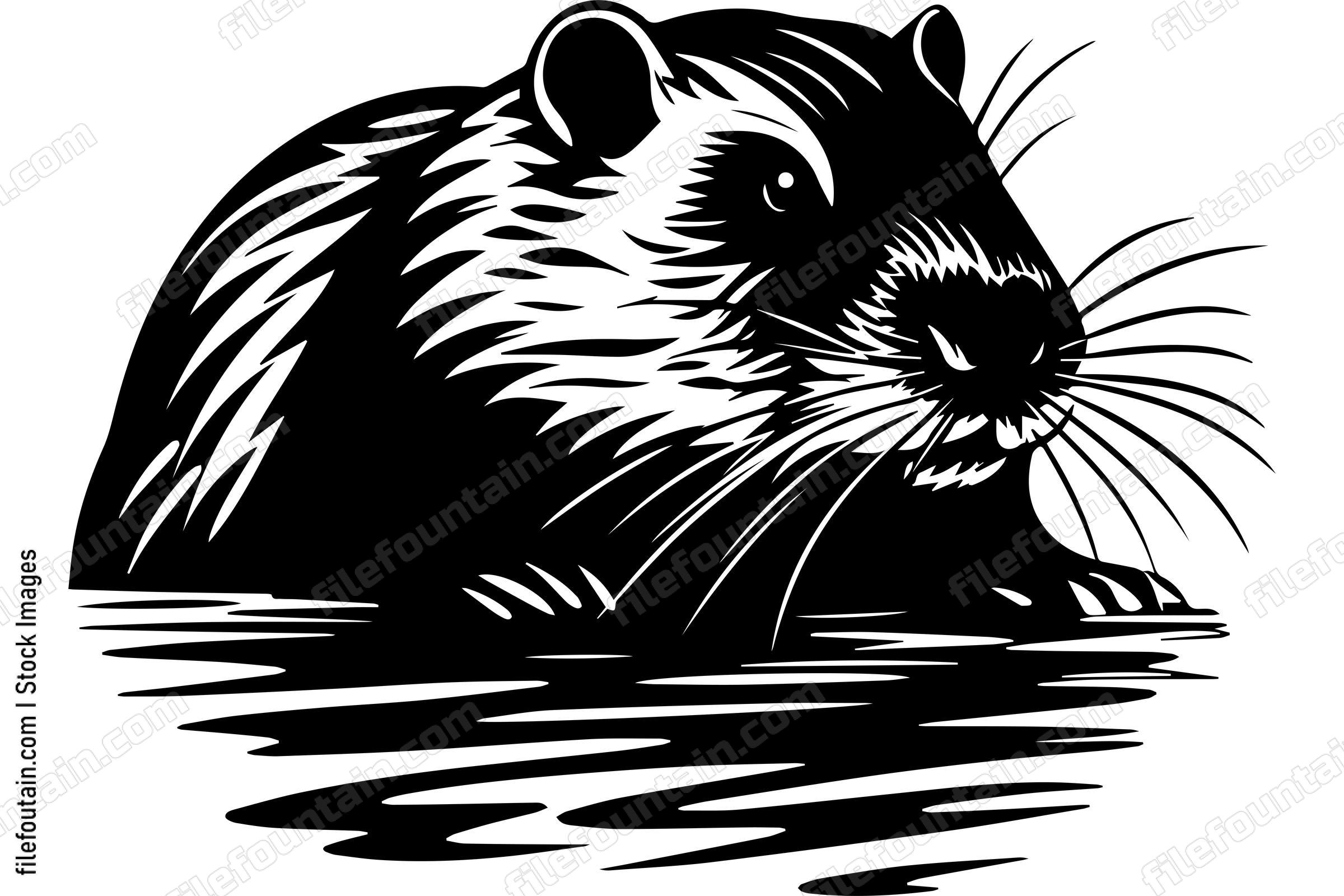 Beaver