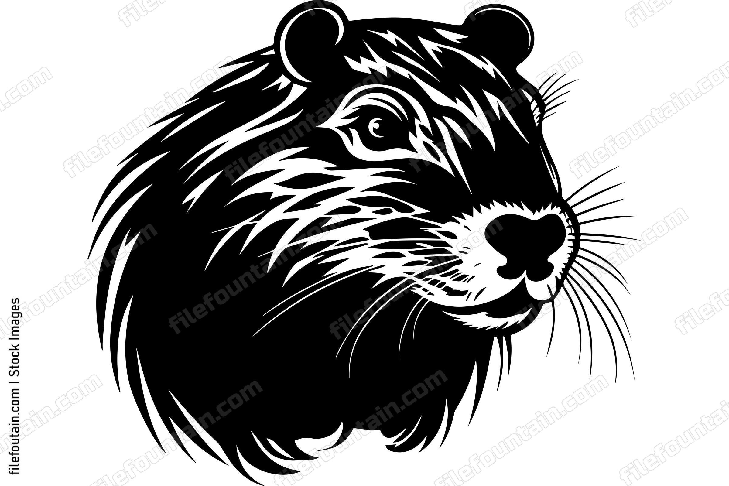 Beaver