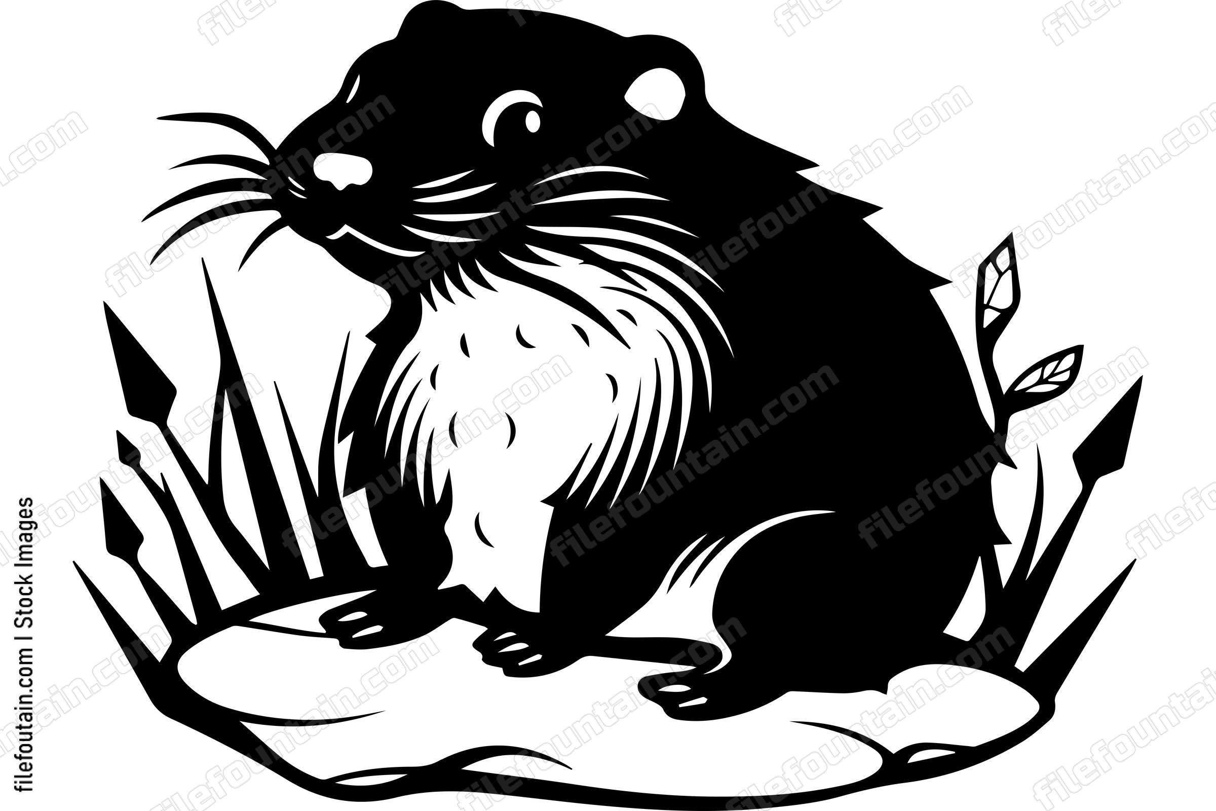Beaver