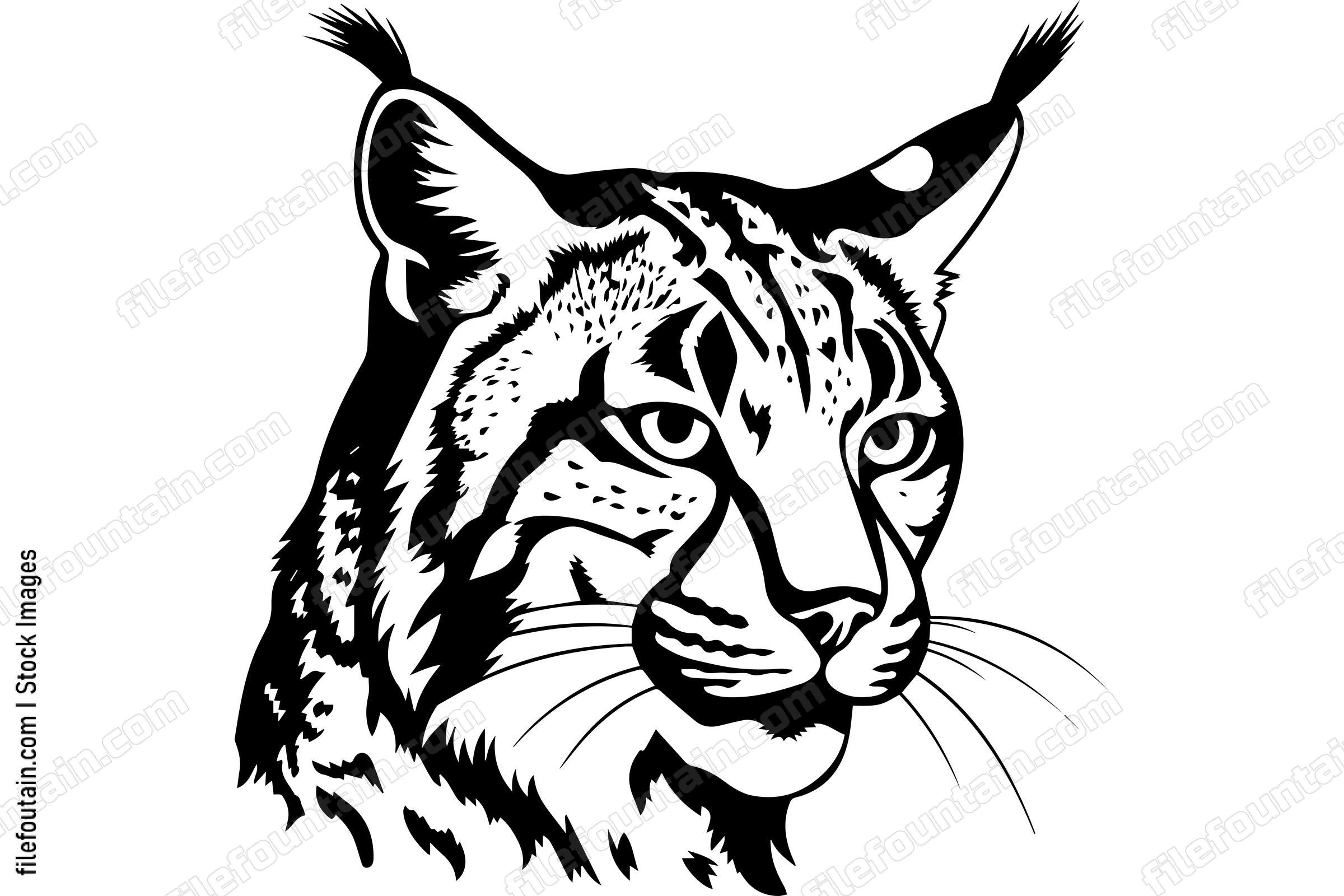 Bobcat