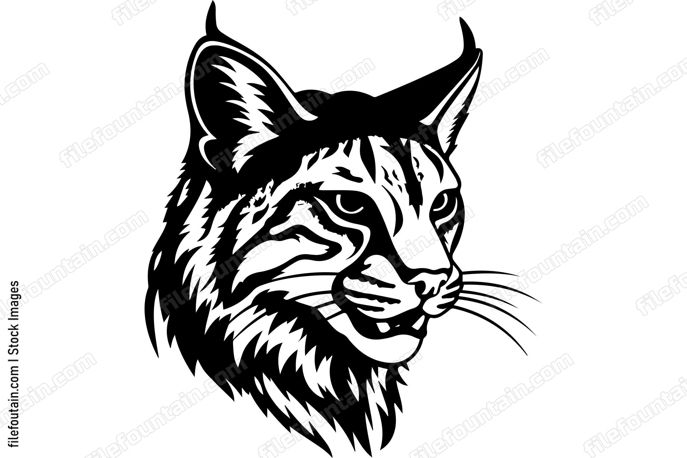 Bobcat