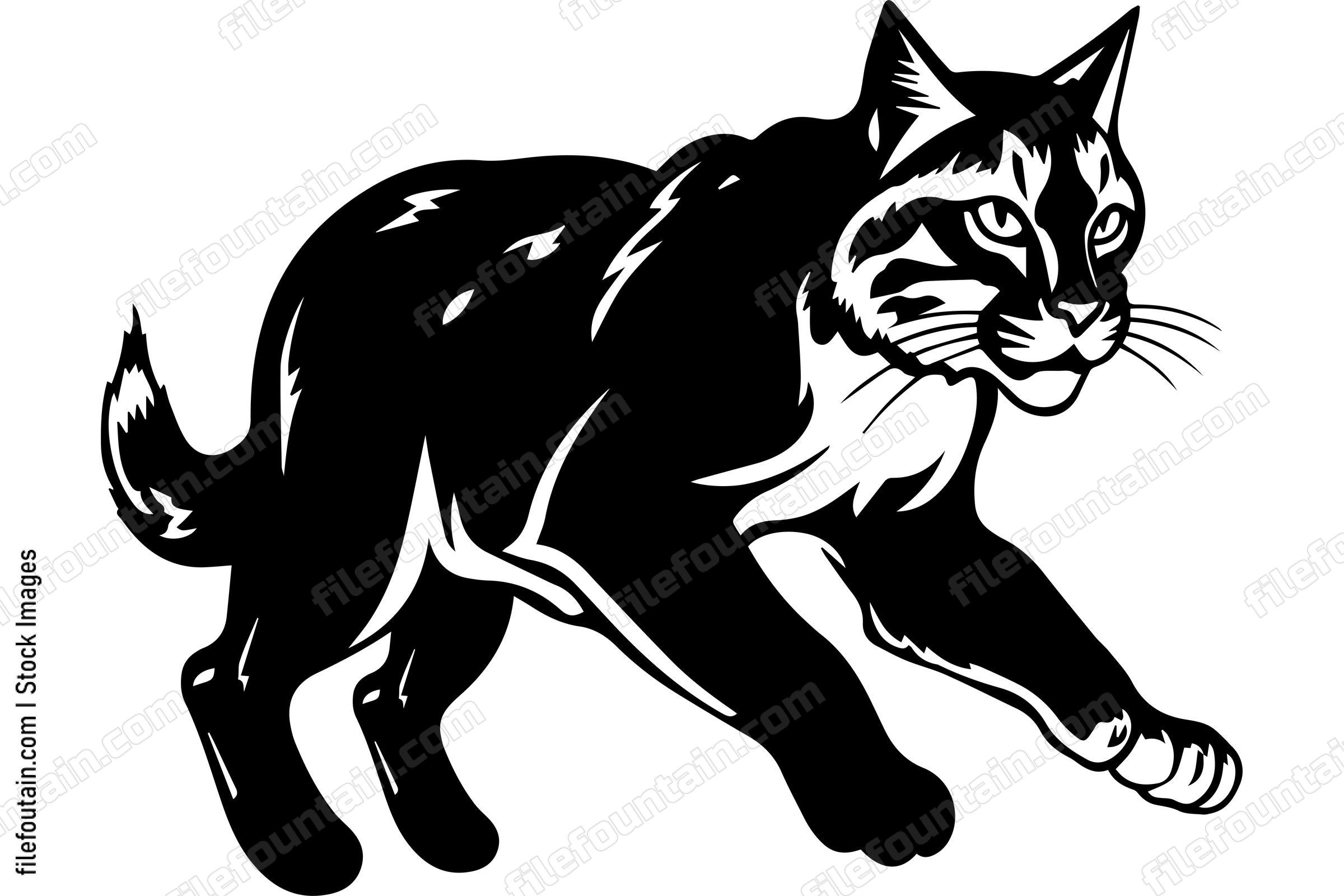 Bobcat