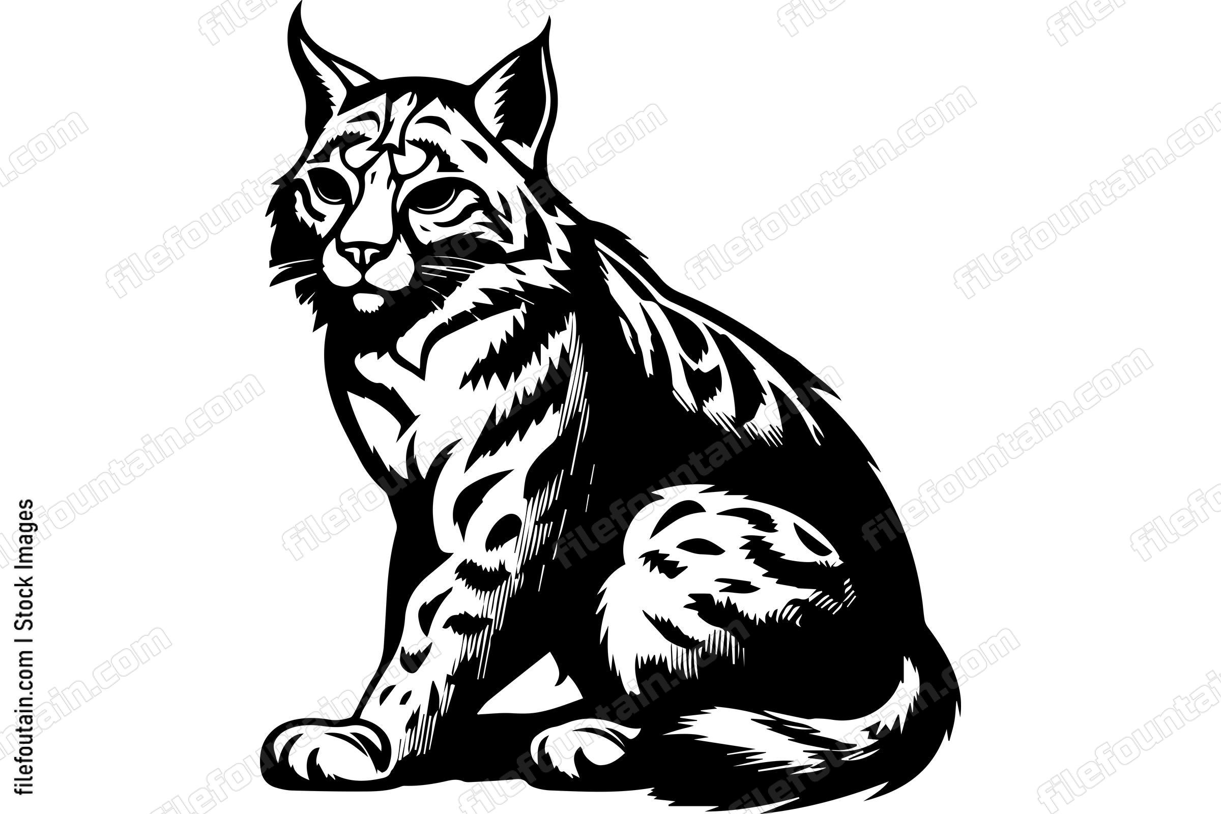 Bobcat