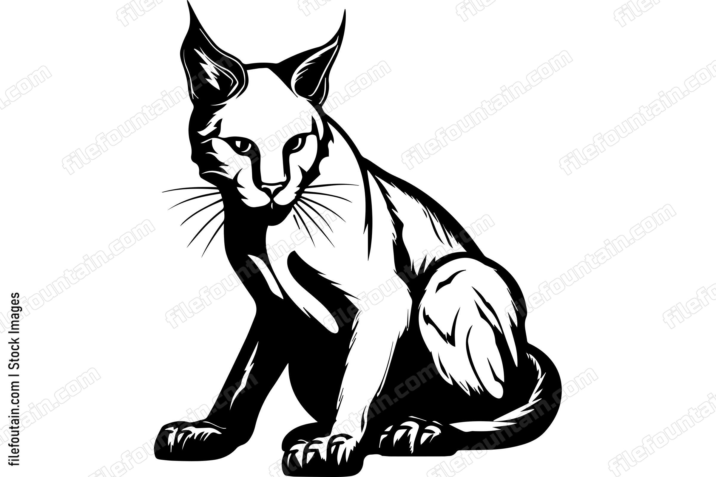 Bobcat